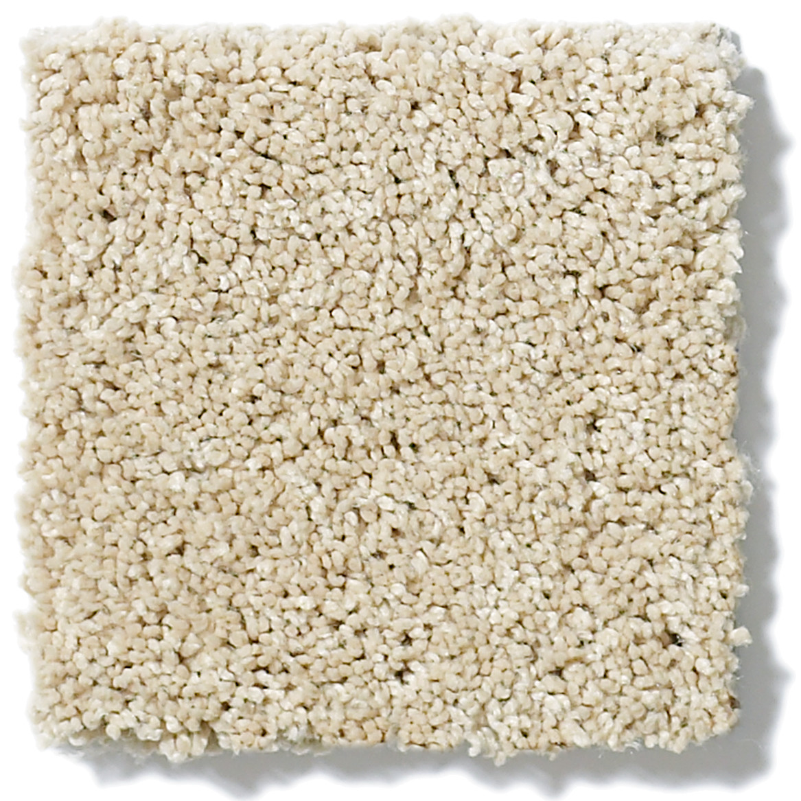 JEALOUSY WARM GLOW SWATCH