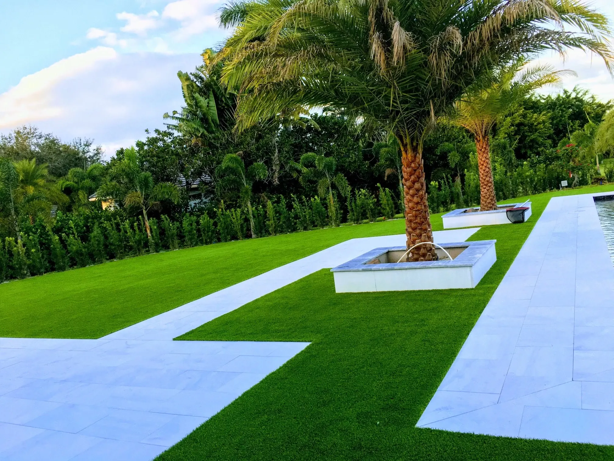 Outdoor landscape with palm trees and stone pathways
