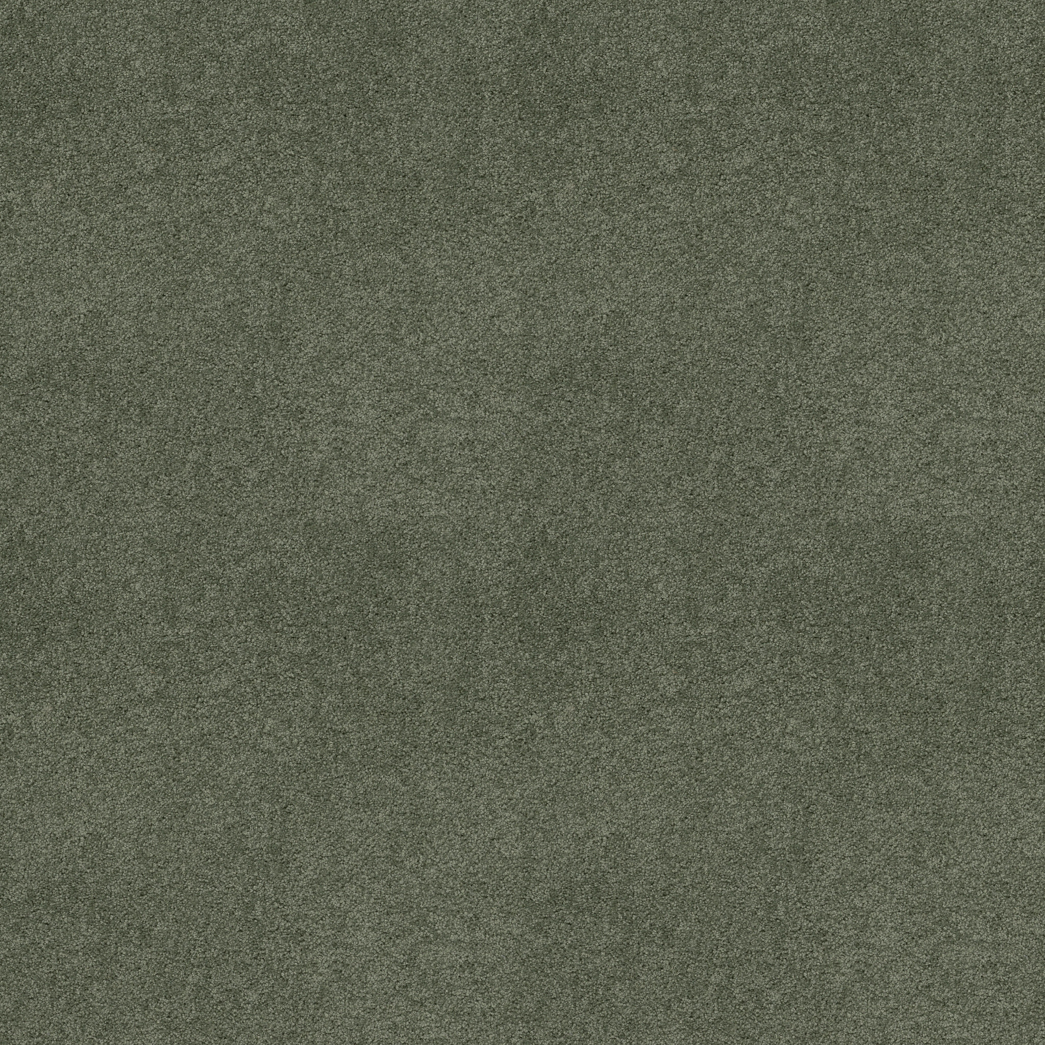 MY CHOICE III BAY LAUREL MAIN