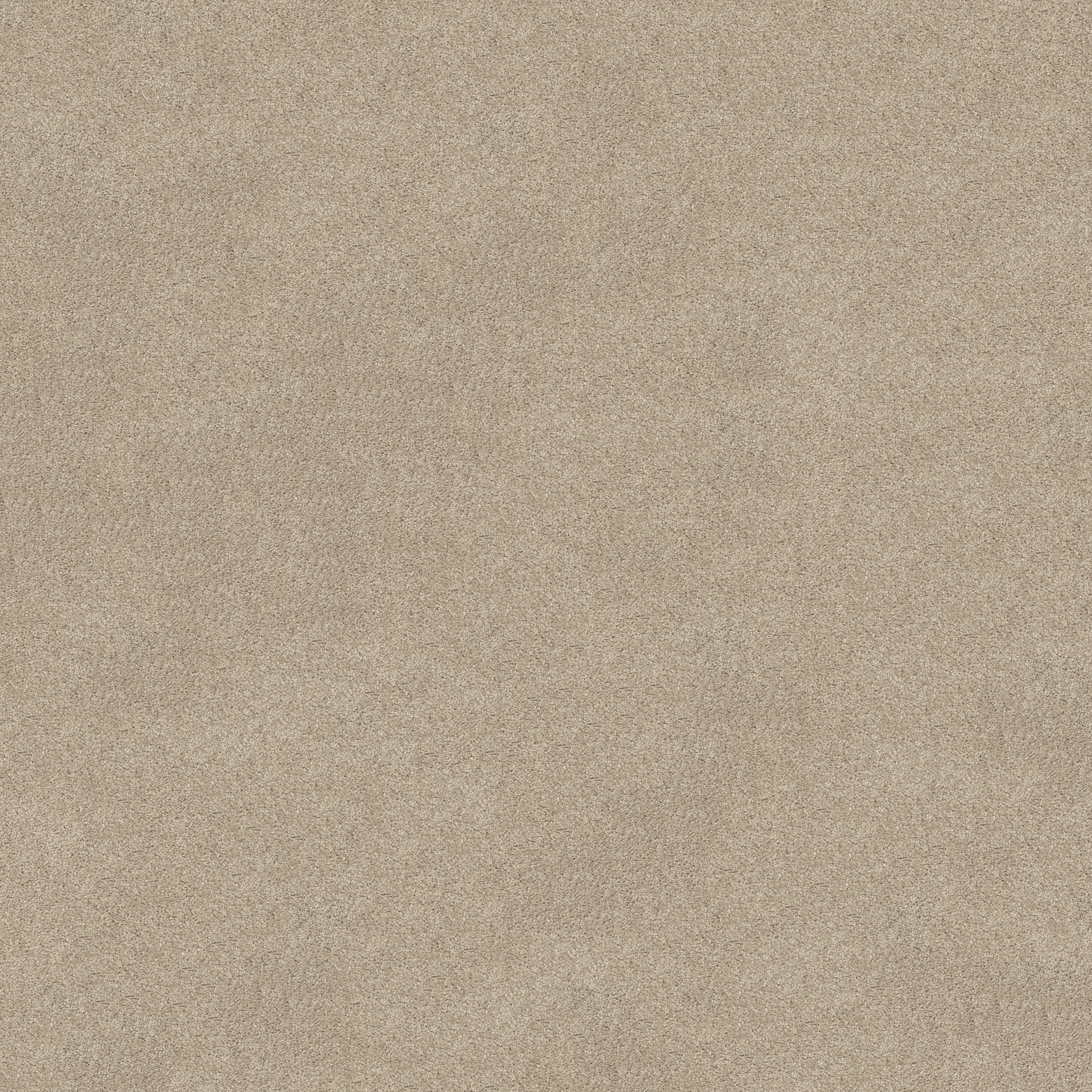 MY DESTINATION III BARE ESSENCE MAIN