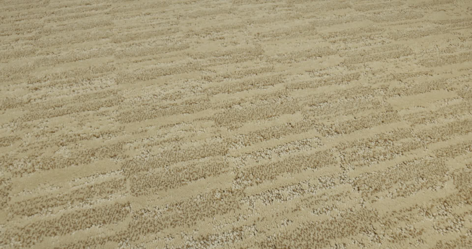 TRACE YARROW 360PROD