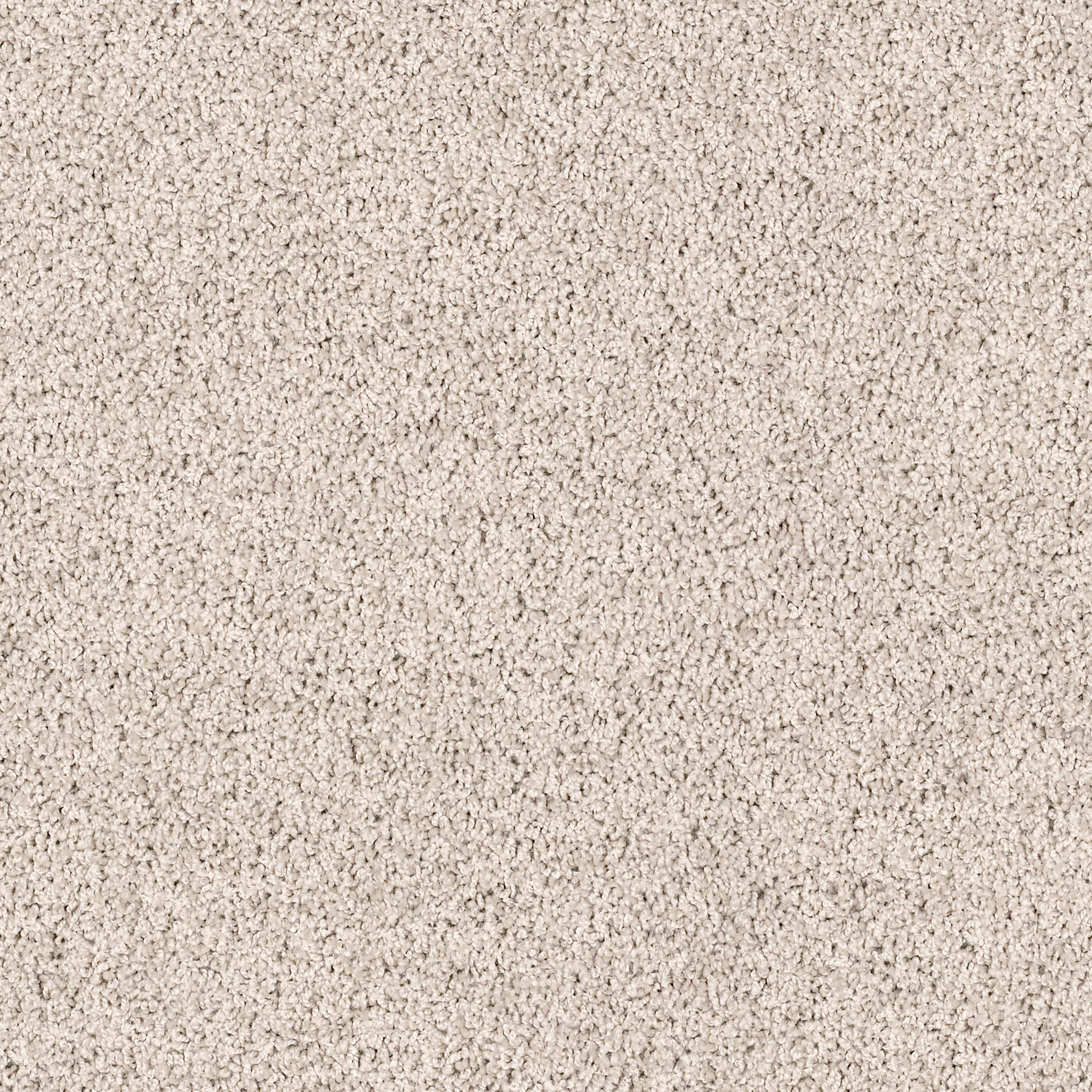 LONESTAR WORLDLY MAIN