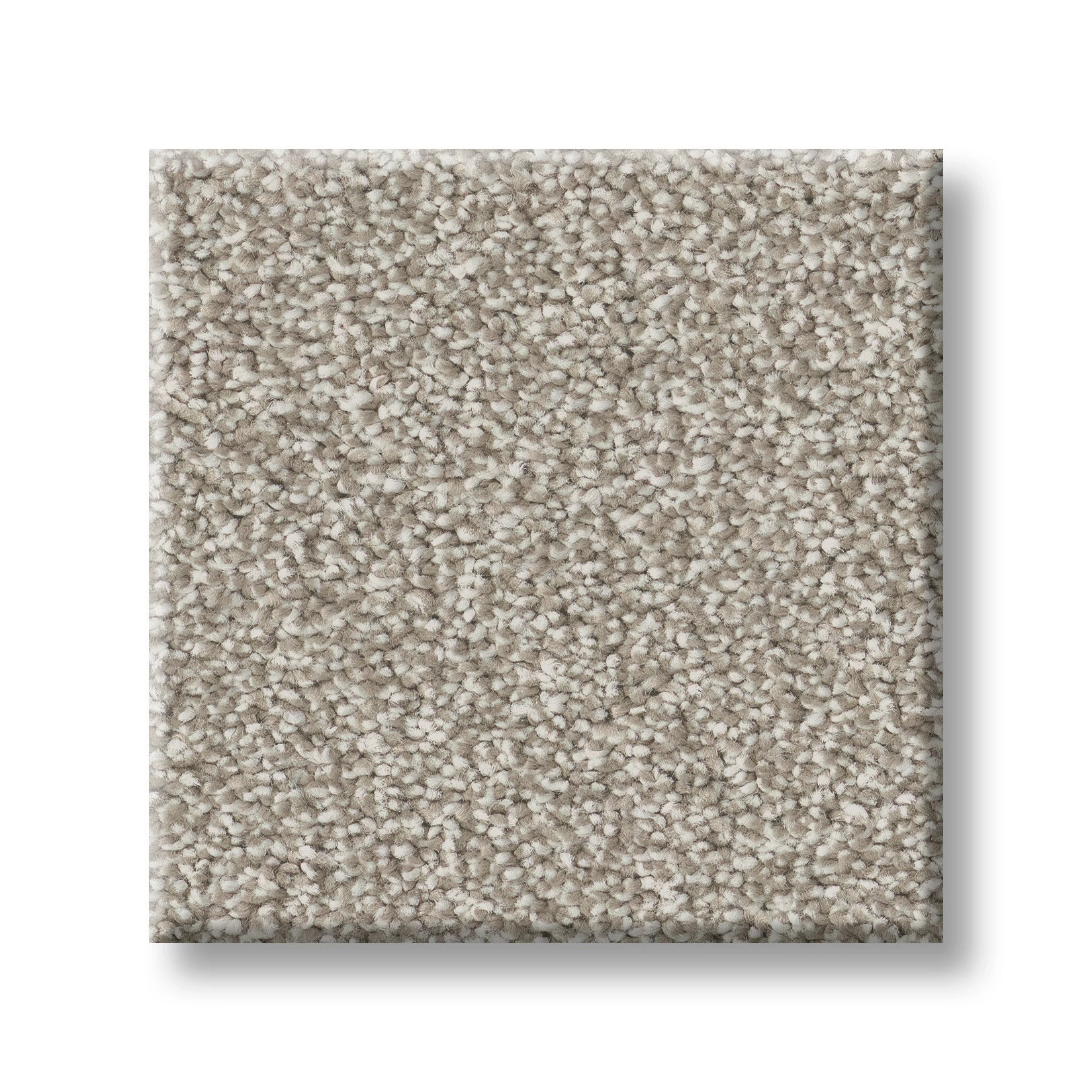 CLASSIC TONE DRIFTWOOD SWATCH