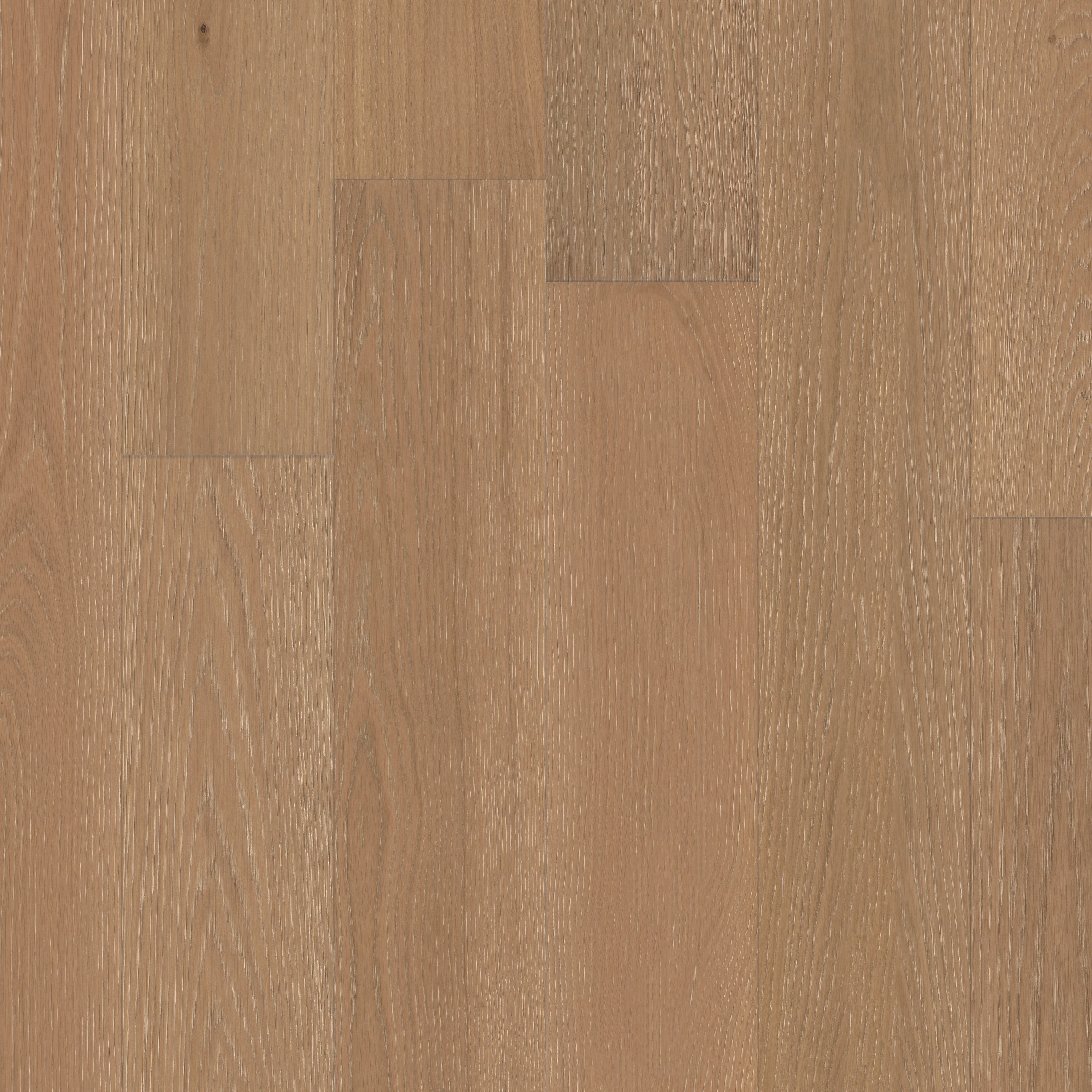 CARPENTRY OAK AMBER GLOW MAIN