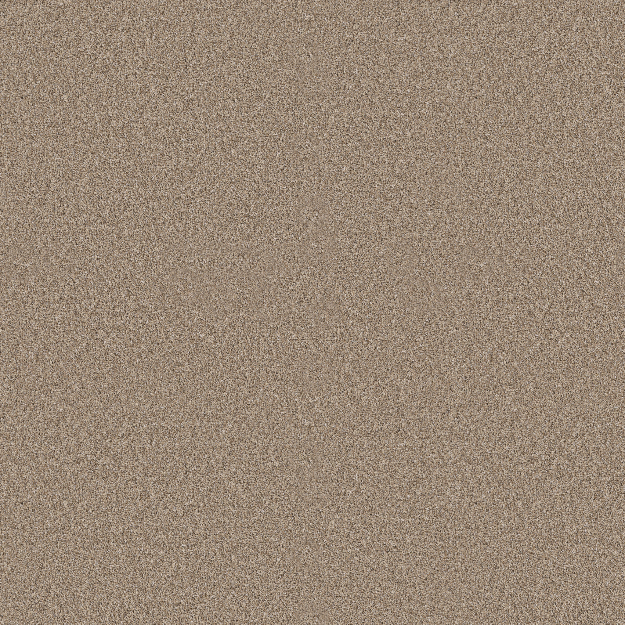 ELEVATED I SUMMER STRAW MAIN