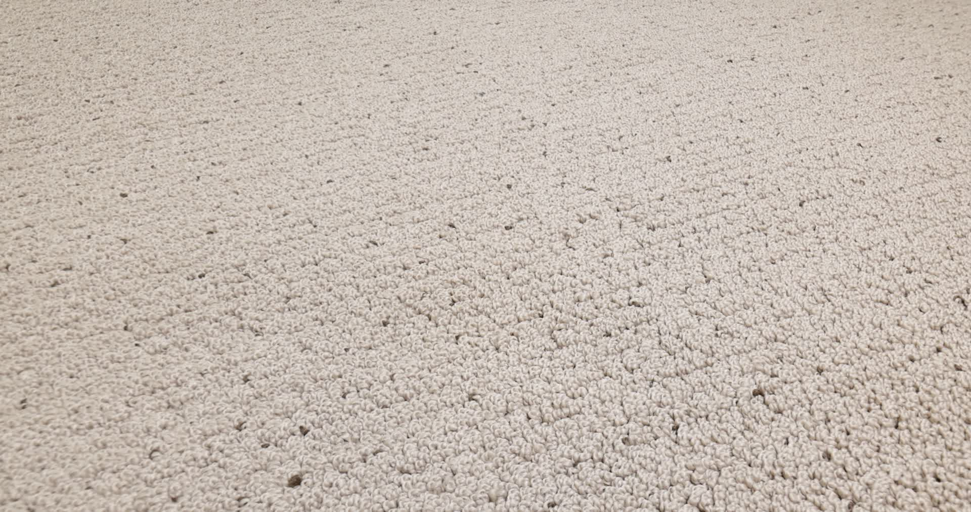 Intricate Trace CAMEO 360PROD