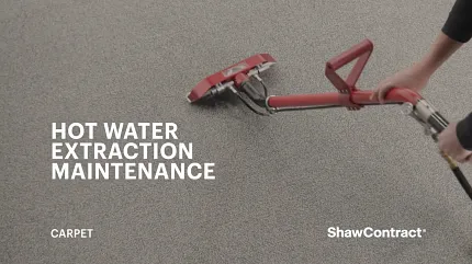 Effective carpet maintenance with hot water extraction Carpet cleaning with hot water extraction method
