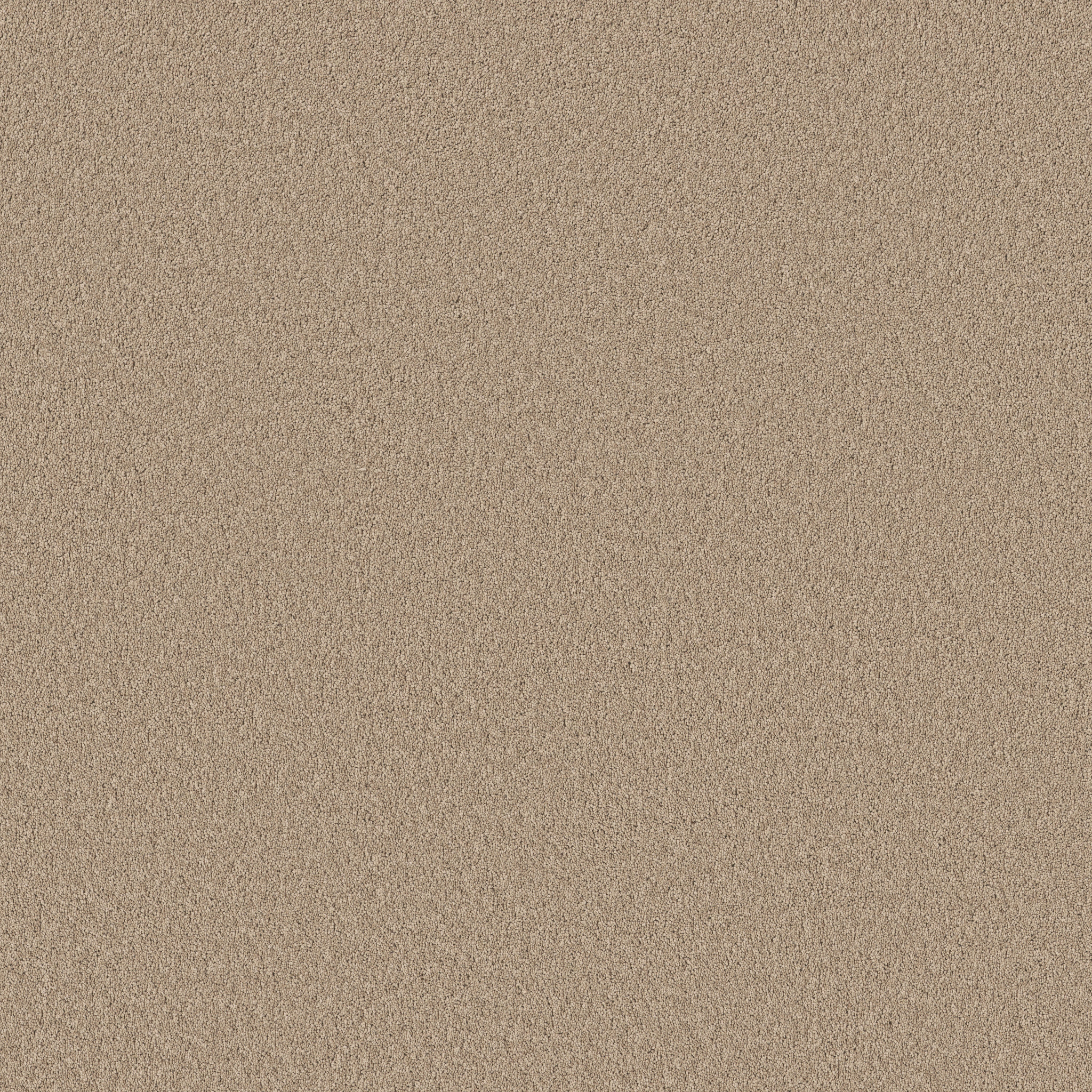 NEW MEMORIES S LOFT MAIN