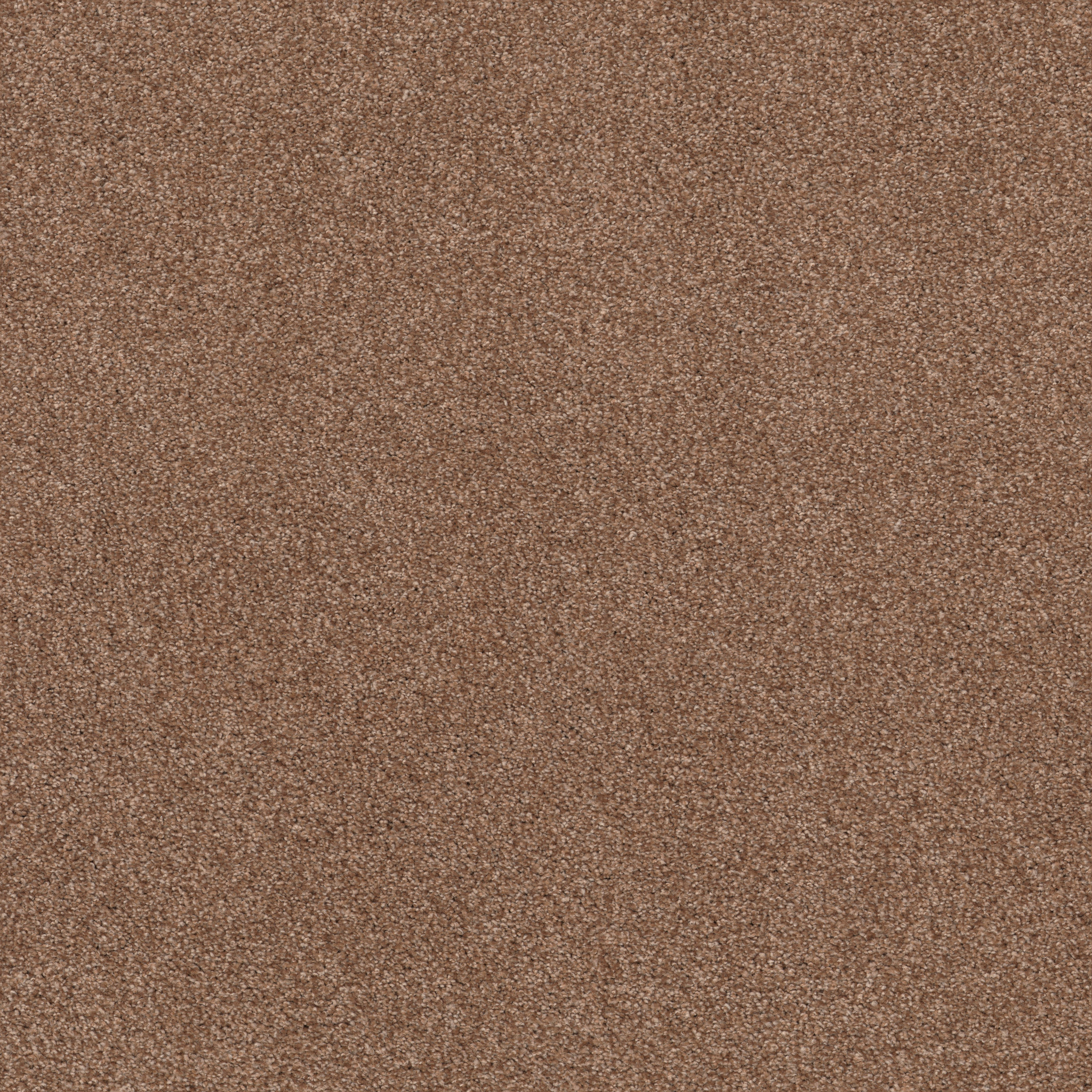 COZY HARBOR I SUNBAKED MAIN