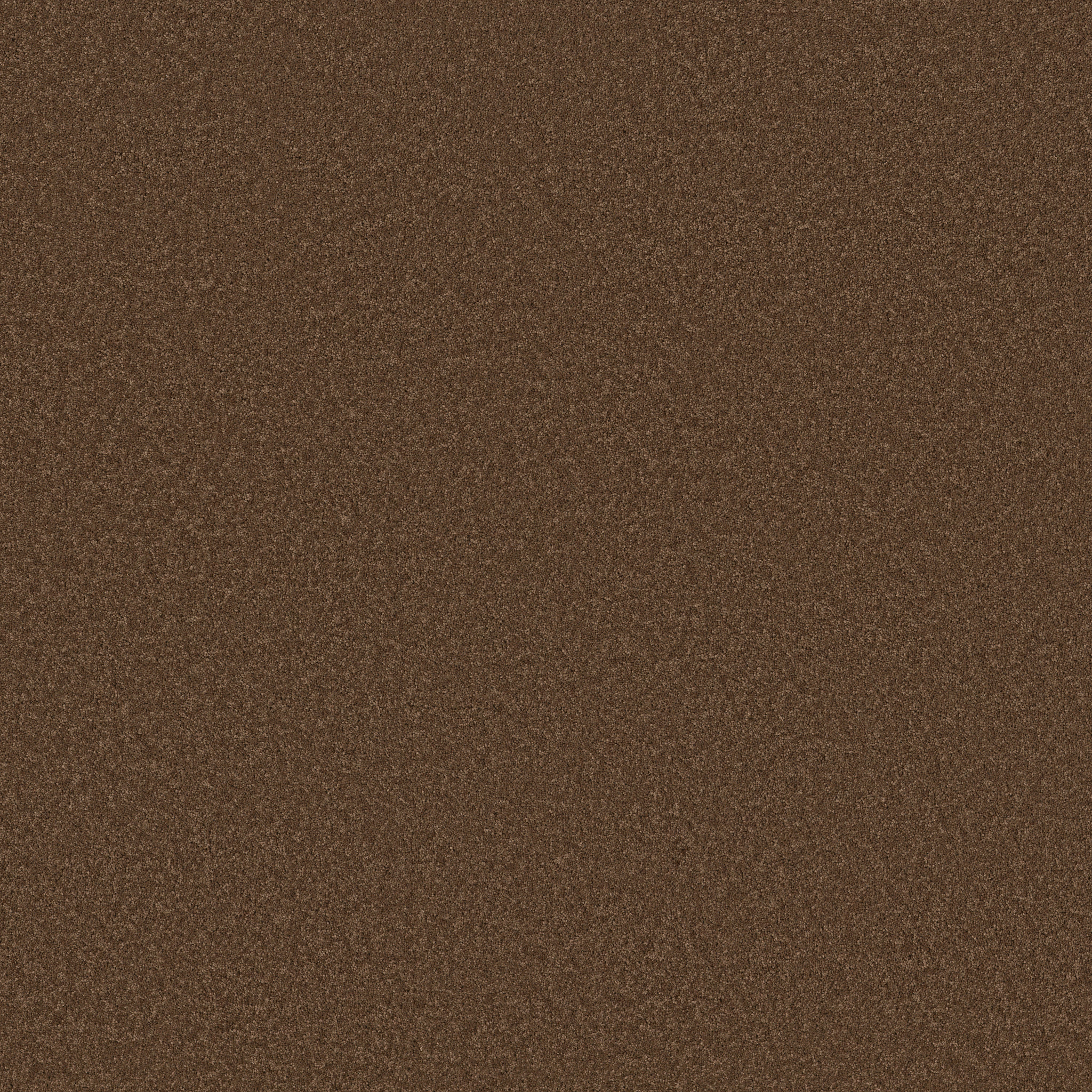 ENDURING CHARM BRONCO MAIN