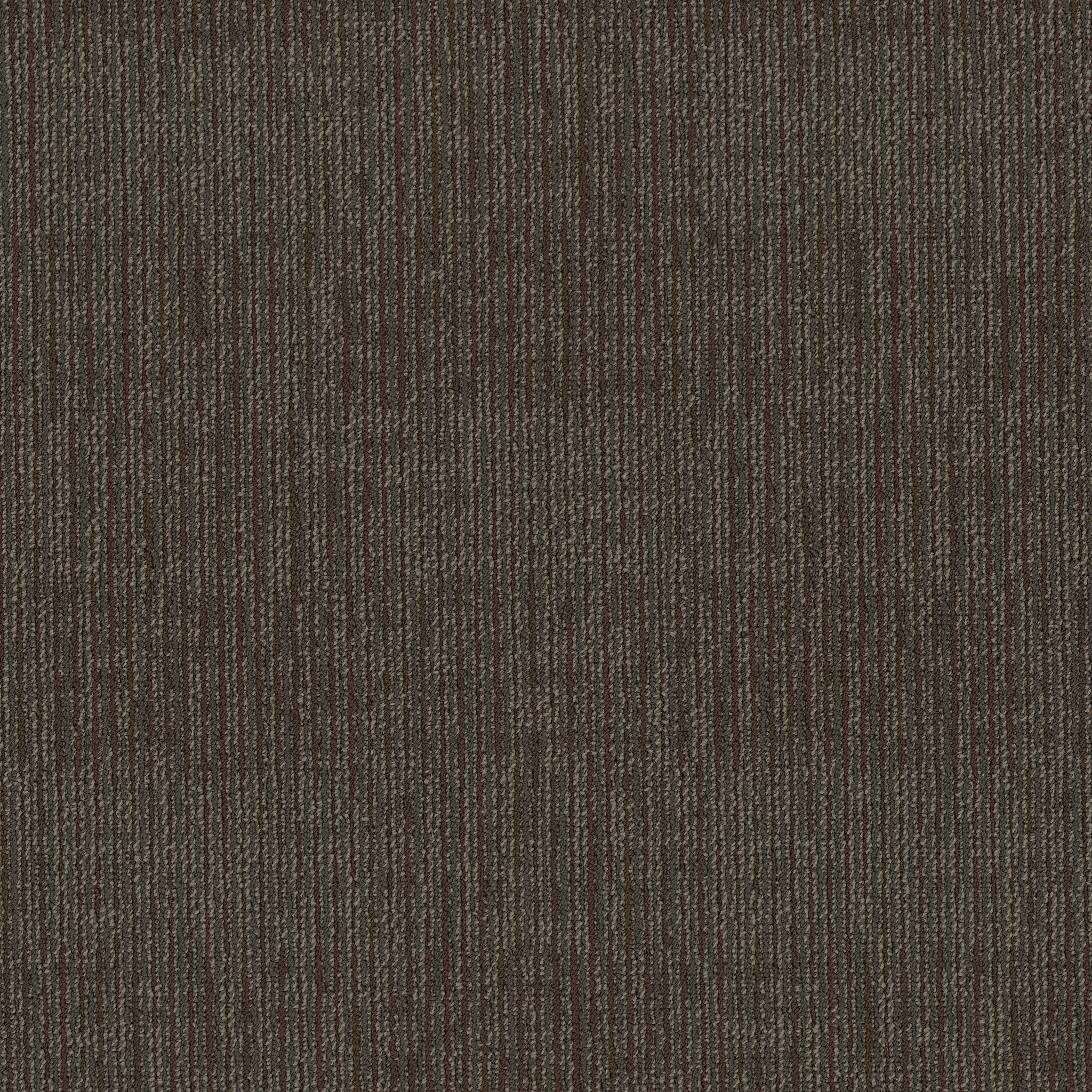 FACT-54907-ENTREPRENEUR-00705-main-image