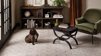 Premium Broadloom Carpet for Stylish Interiors - 12 ft Width Elegant living room featuring a broadloom carpet in a textured white pattern