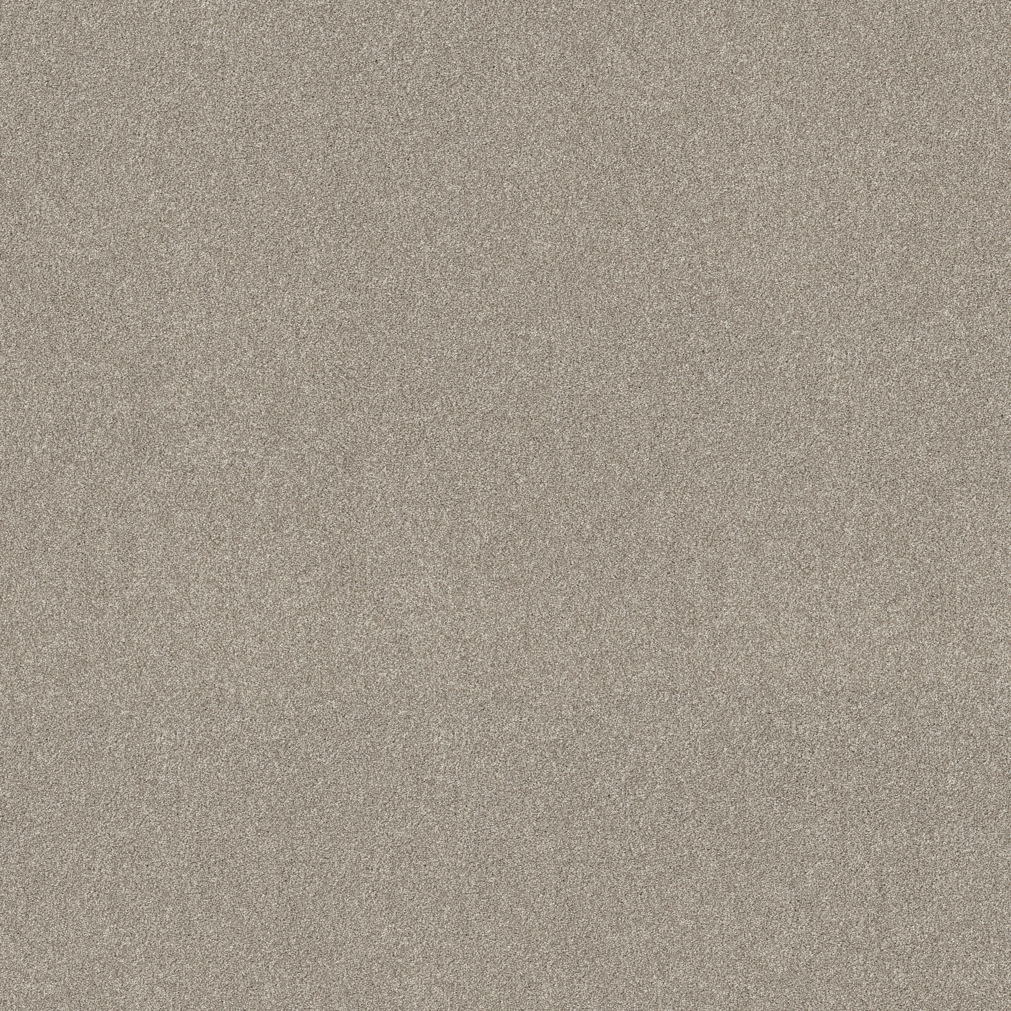 NEW MEMORIES T MARBLE MAIN