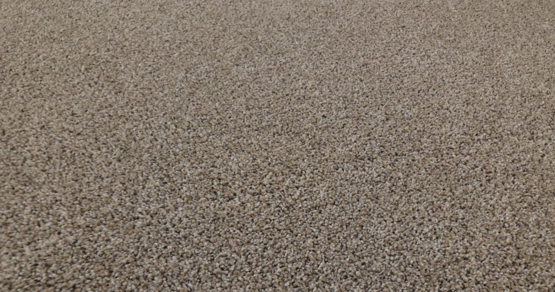 REFINED BEAUTY NUTRIA 360PROD