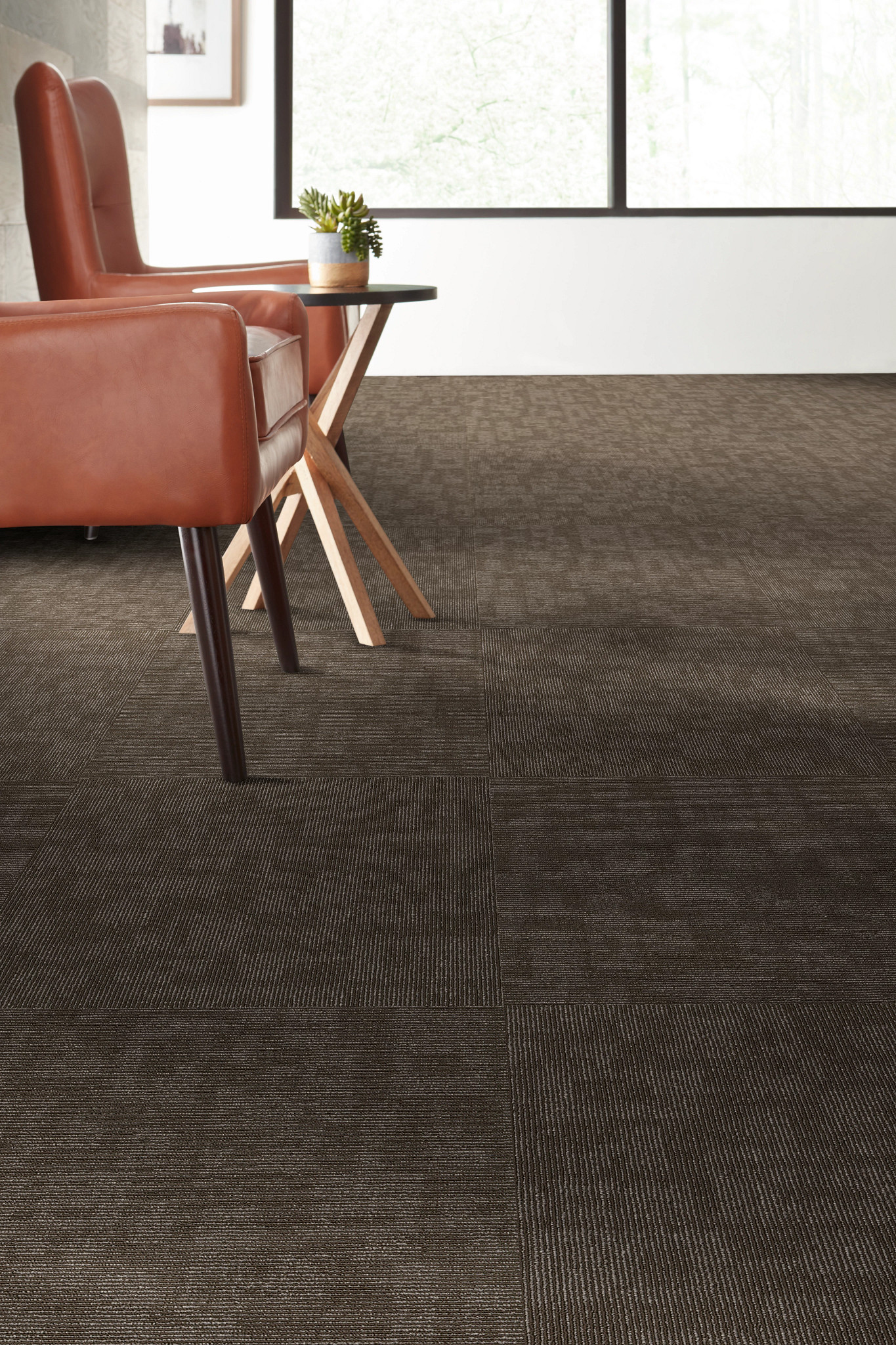 FORMA-54948-COMPARISON-00705-room-image