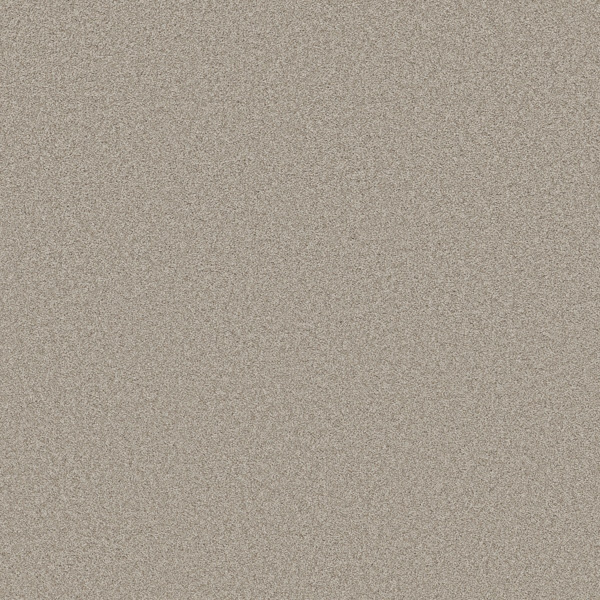 Shaw Floors HARMONIOUS II — BALTIC STONE