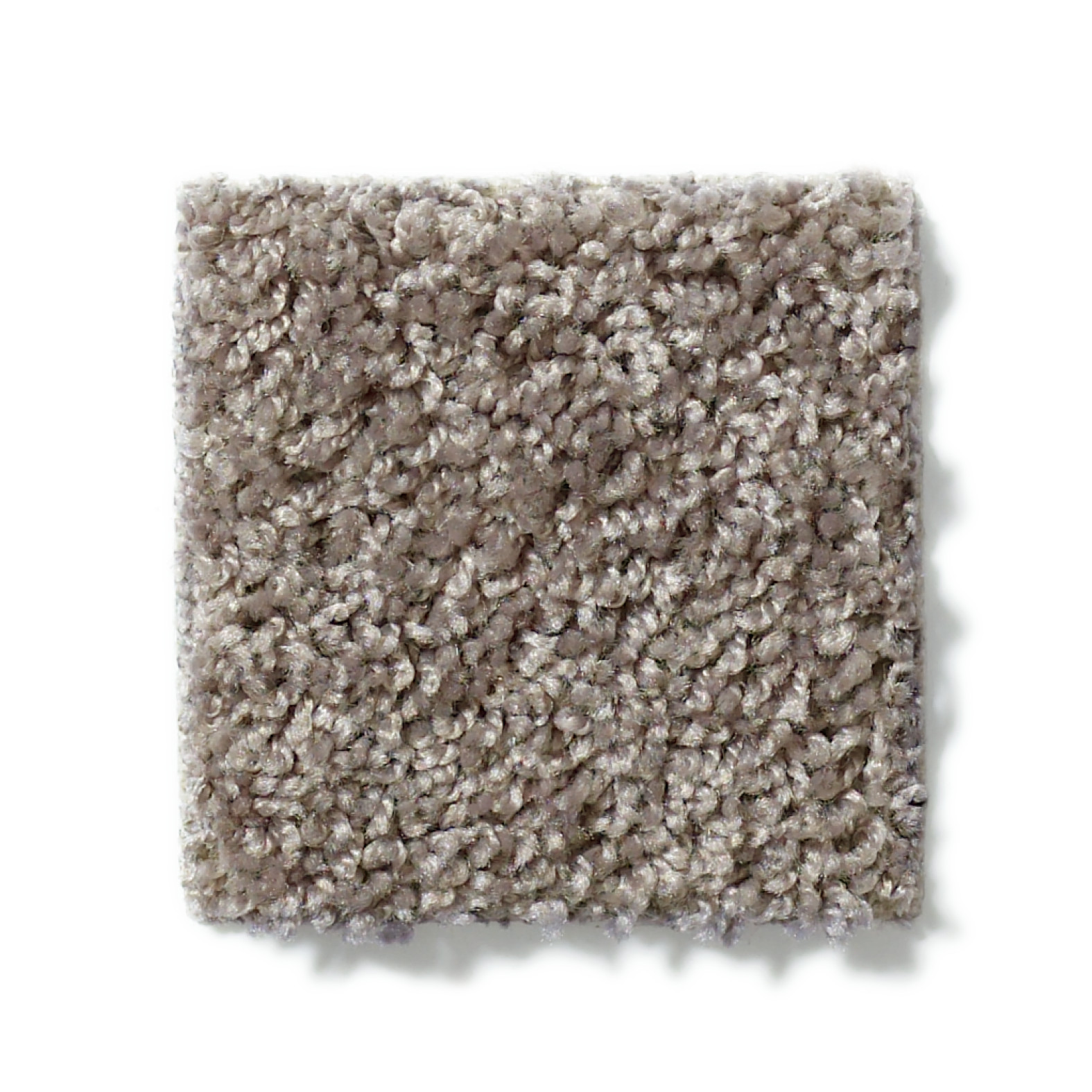 BREAK AWAY - SOLID CHARCOAL SWATCH