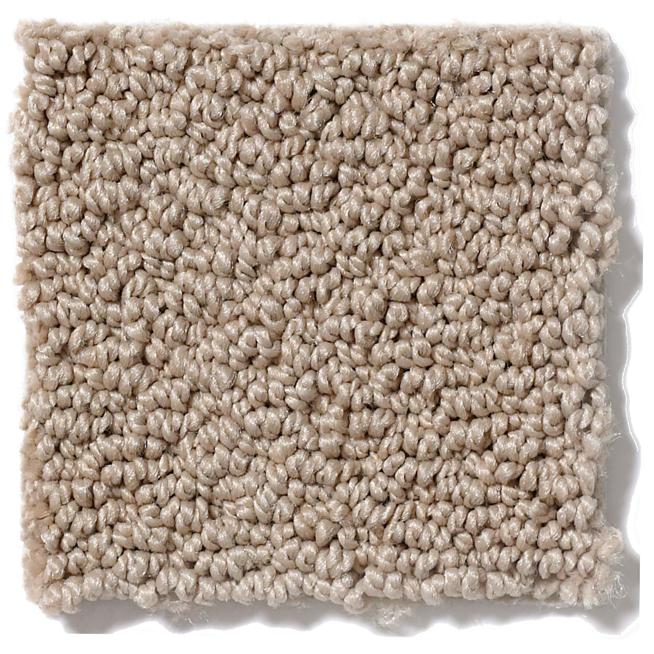 PROVEN IDENTITY LOOP CLAY STONE SWATCH