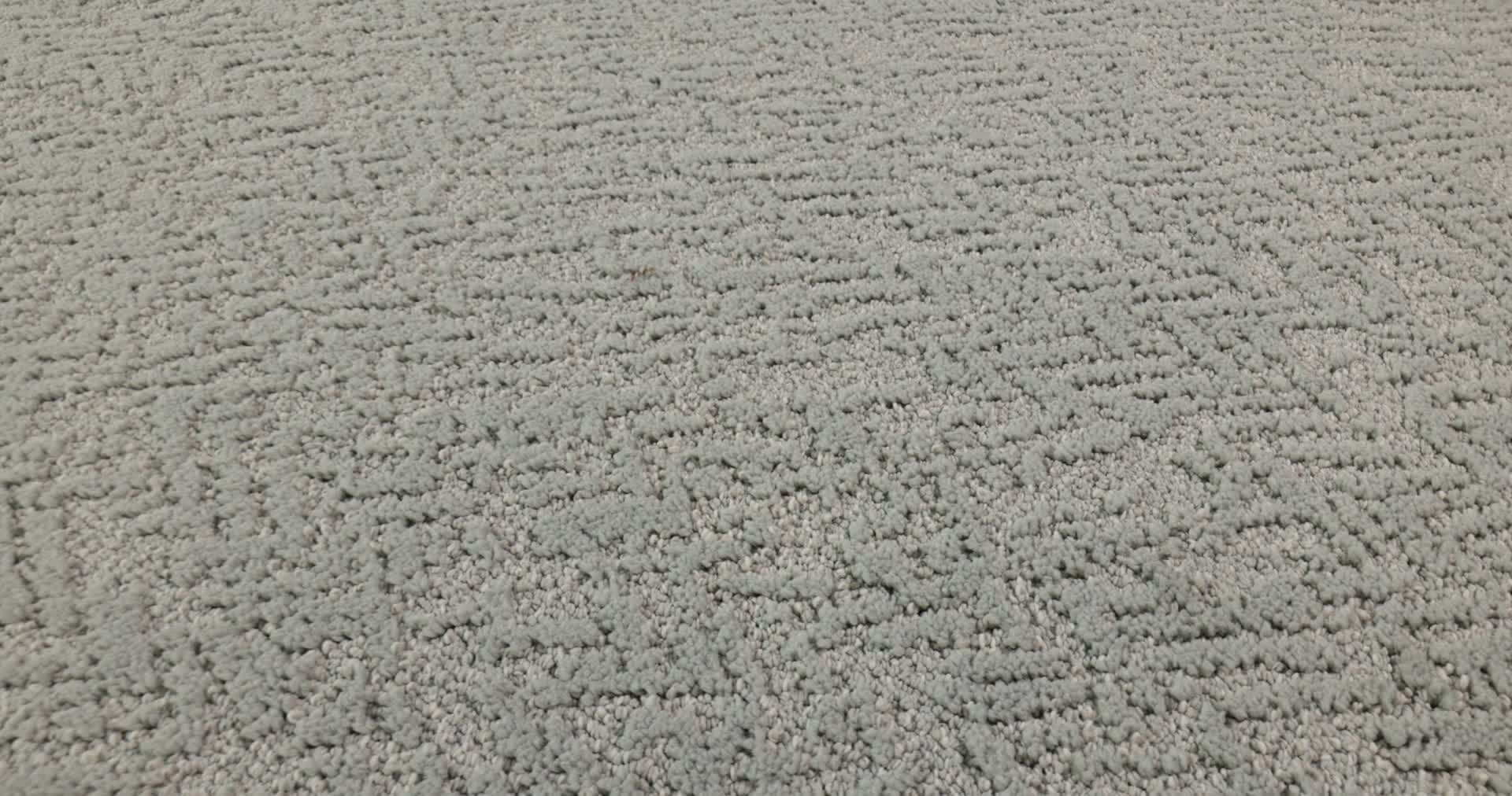 JOYFUL SPIRIT BIRDSONG 360PROD