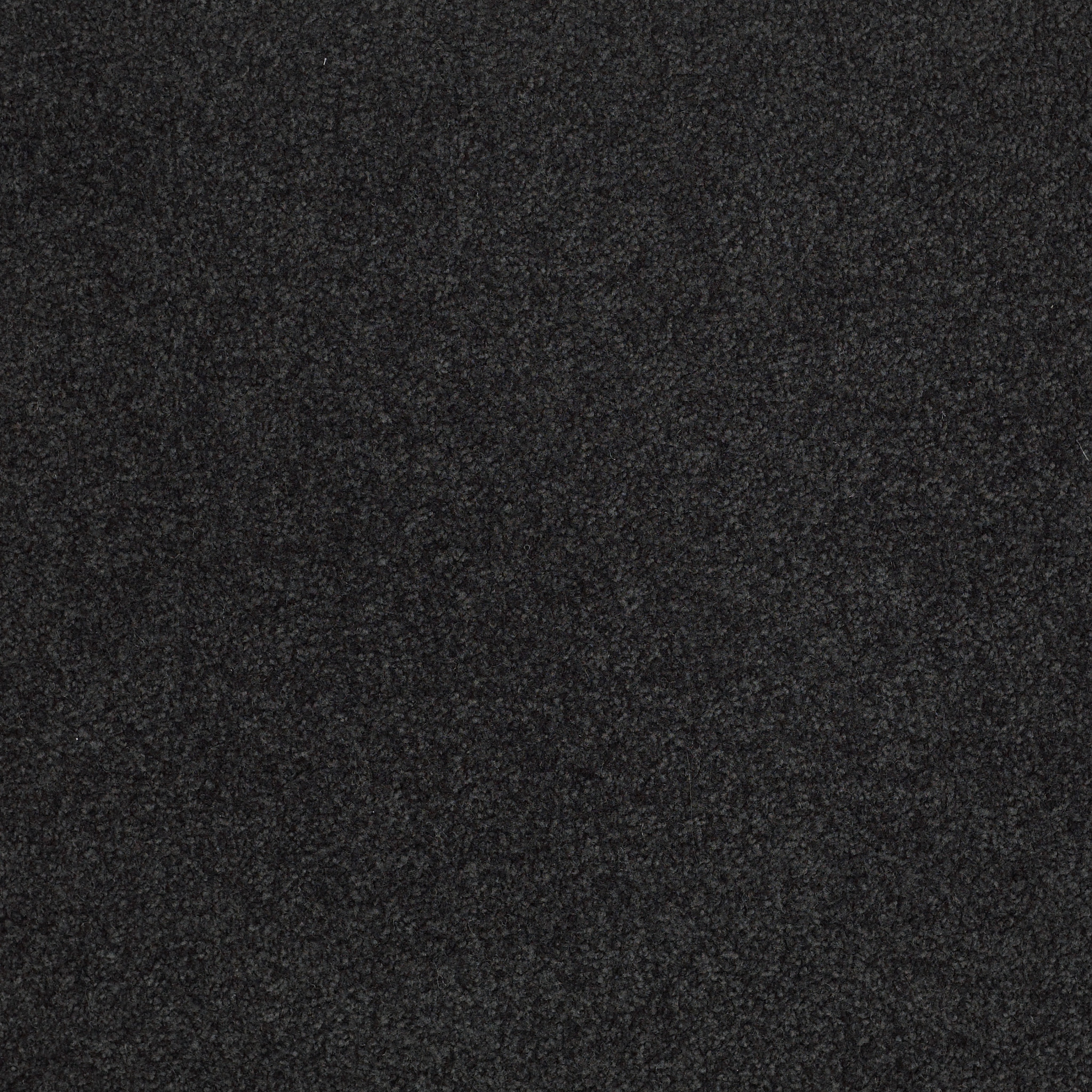 SHINGLE CREEK IV 12' DEEP SEA MAIN