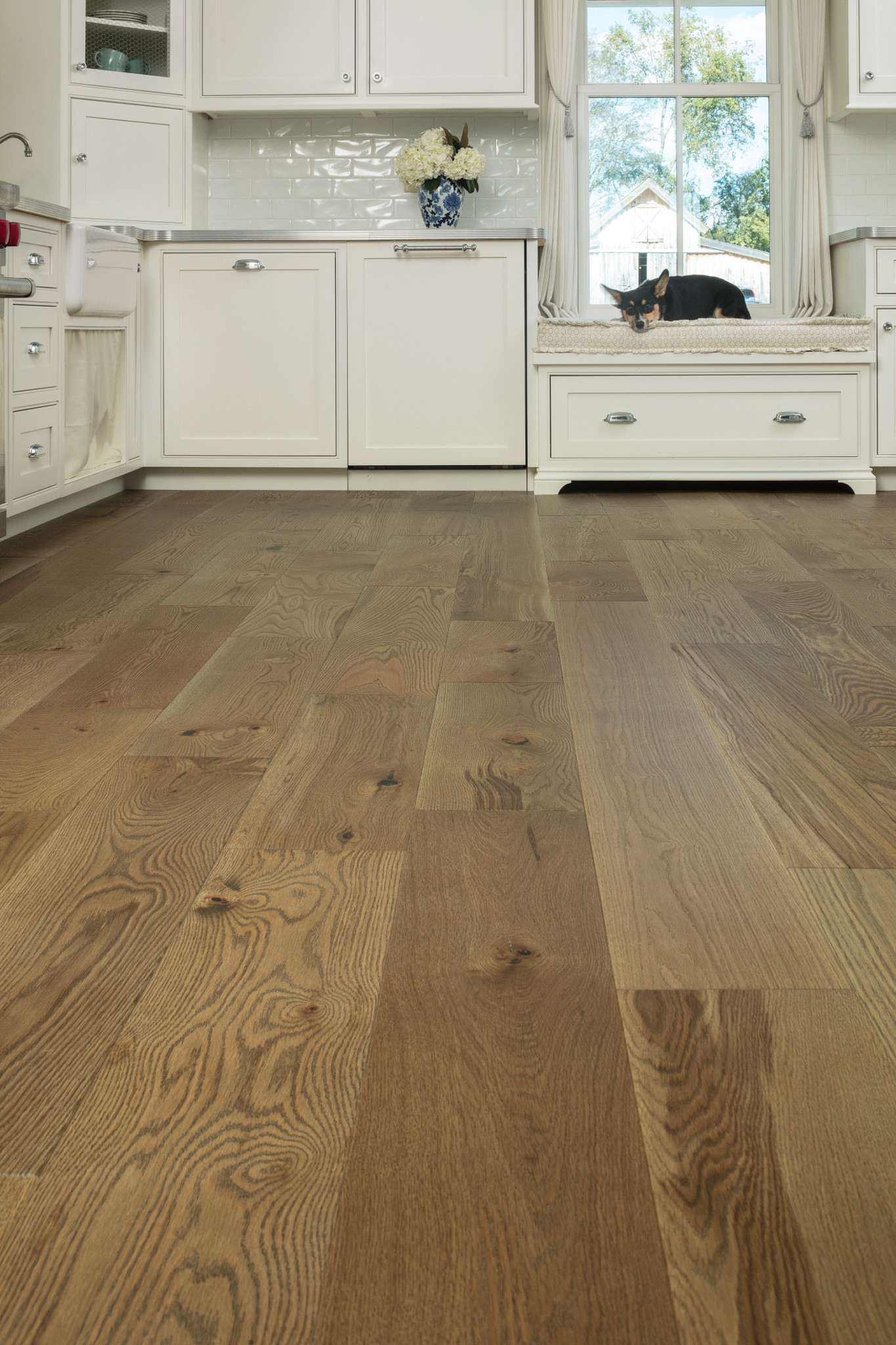 BUCKINGHAM YORK StaticImage01