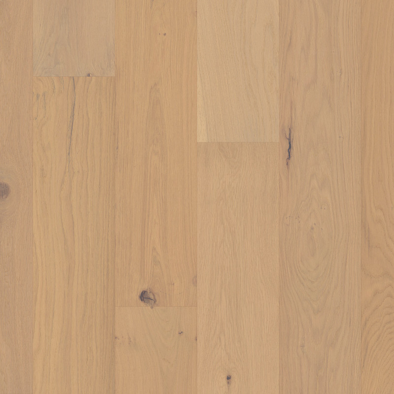 ENSEMBLE in Champagne by Shaw Floors
