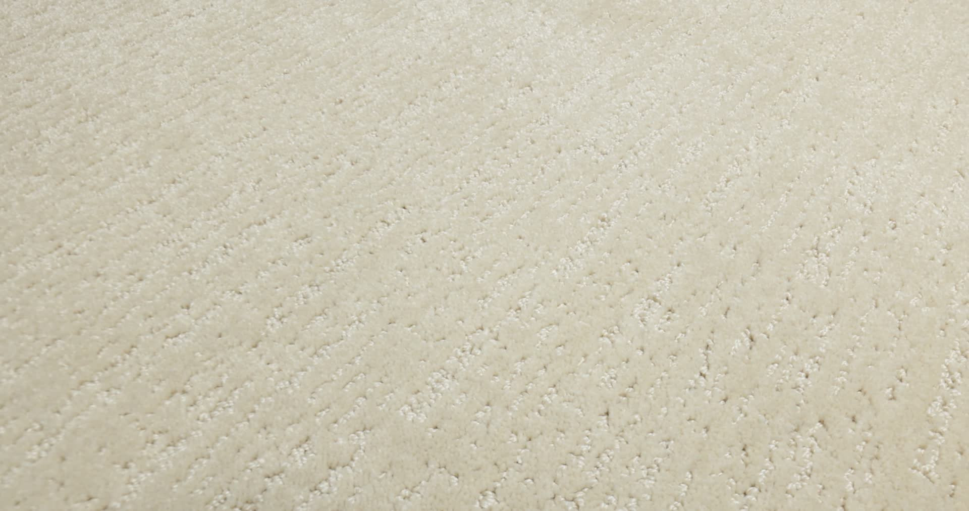 ENDLESS MEMORIES SUN KISSED 360PROD