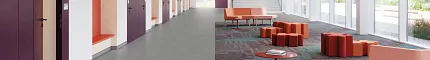 Education Facility Hallway with Commercial Carpet Tiles in Gray and Multicolored Design Modern education facility hallway with gray and multicolored commercial carpet tiles, featuring purple, teal, and orange accents