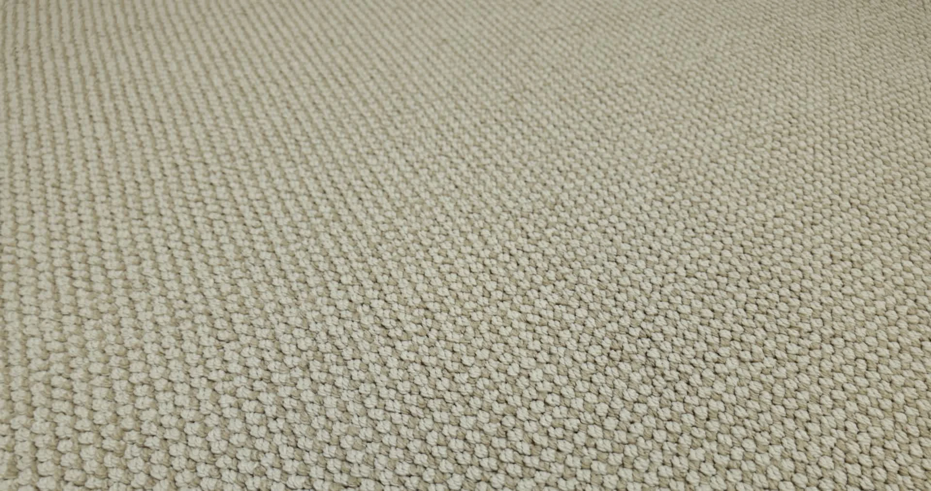 Alluring - 100% Anso® High Performance Nylon in Cashmere | AndersonTuftex