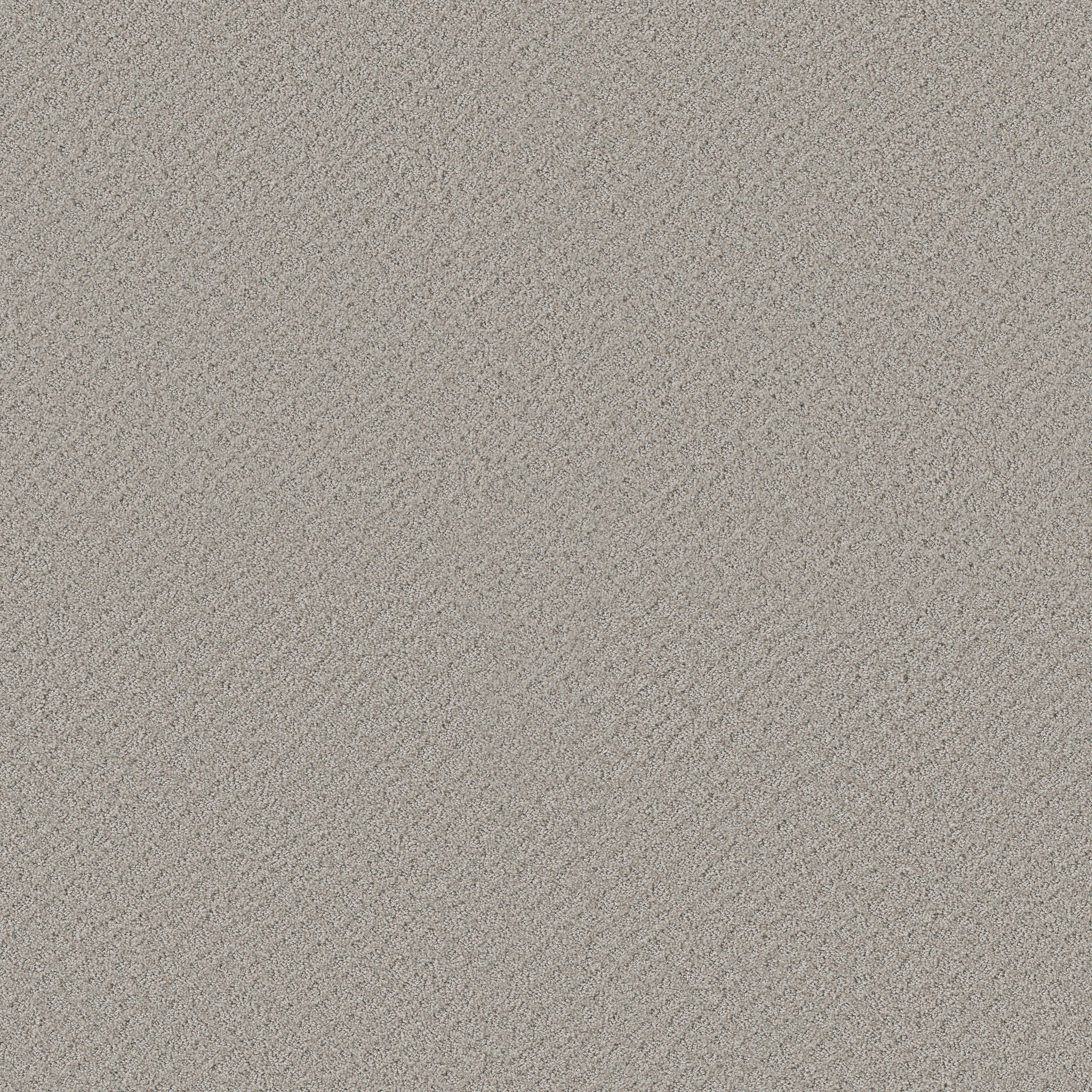 CHIC SHADES SILVER LINING MAIN