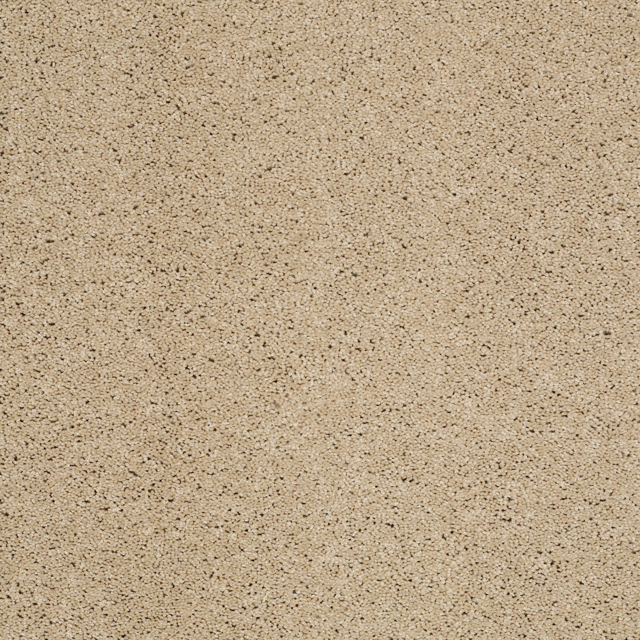 MY CHOICE II BEACH WALK MAIN