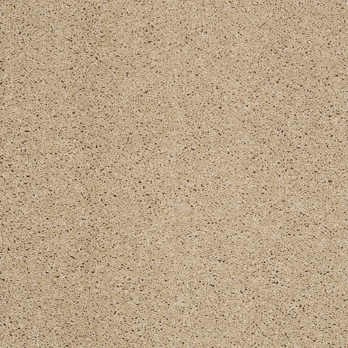 Shaw Floors LOYAL BEAUTY II — BEACH WALK