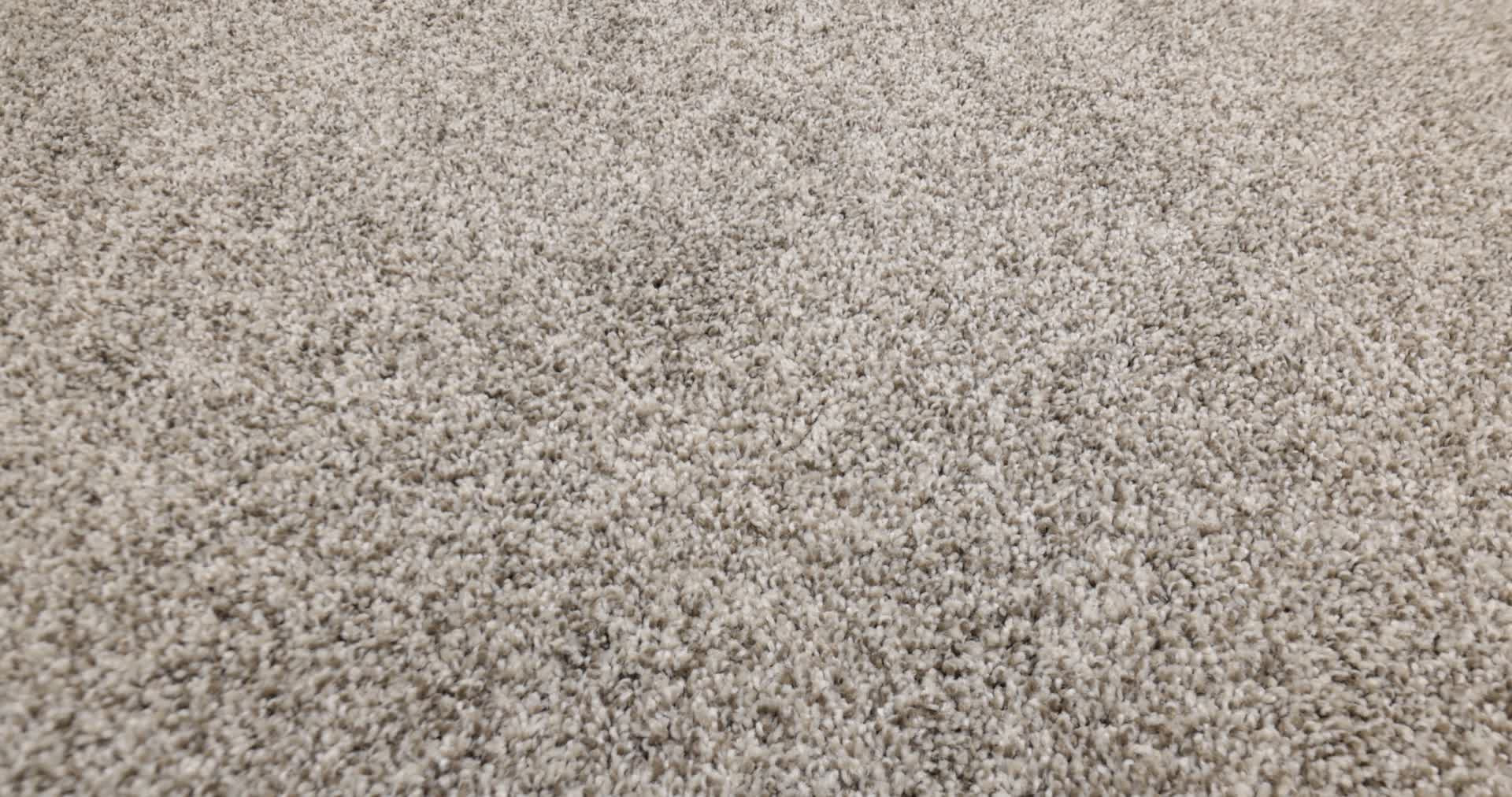 BOSSA NOVA URBAN NATURE 360PROD