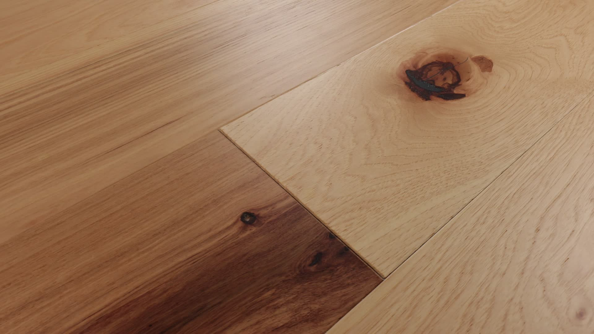 SANCTUARY HICKORY REUNION 360PROD