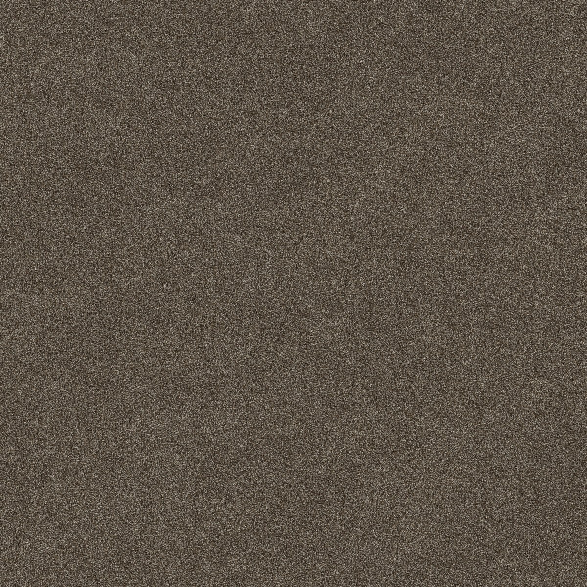 Shaw Floors TruSpirit I — CHESTNUT