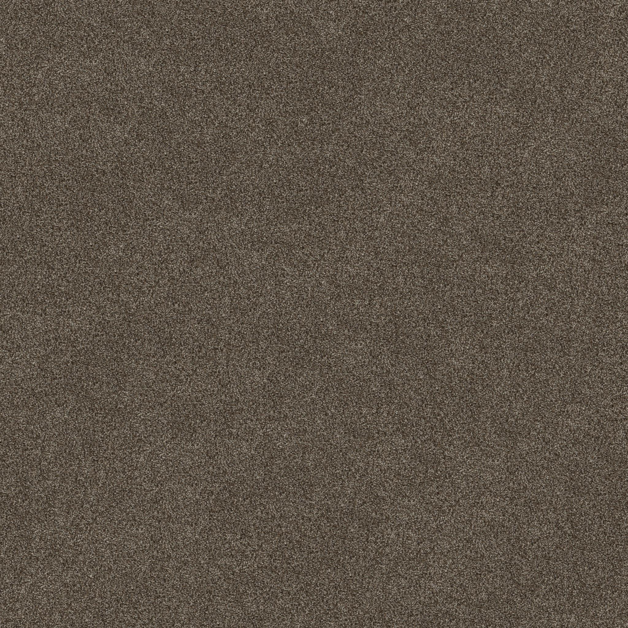 Truspirit I in Chestnut