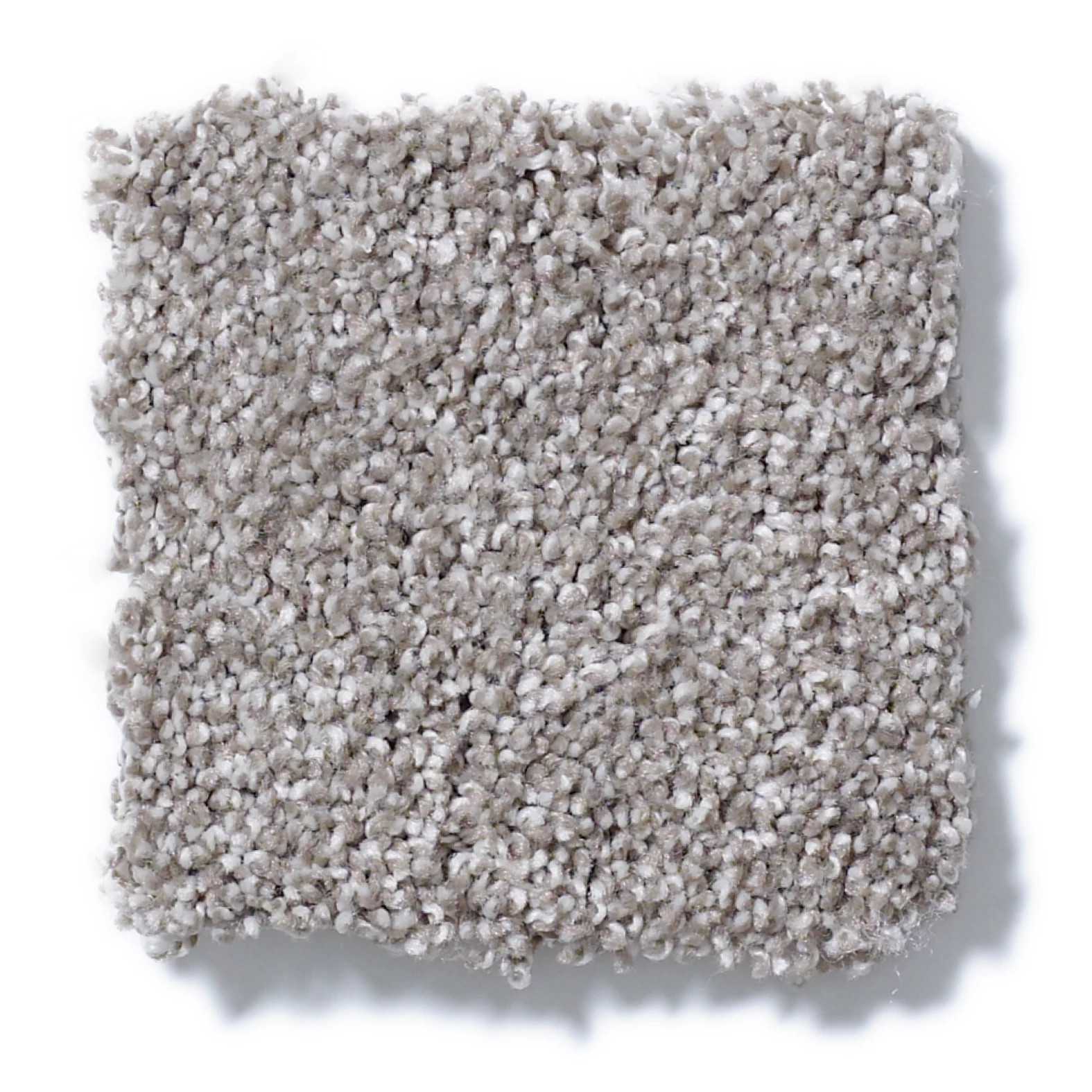 ALWAYS READY I ARROWHEAD SWATCH