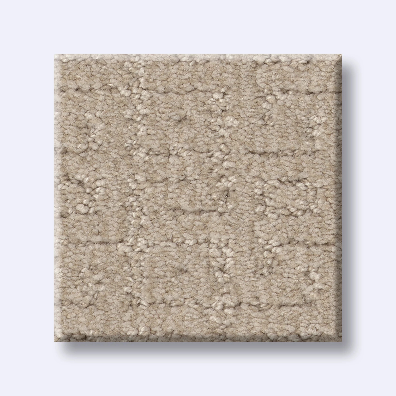 VIGNETTE SPANISH SAND SWATCH