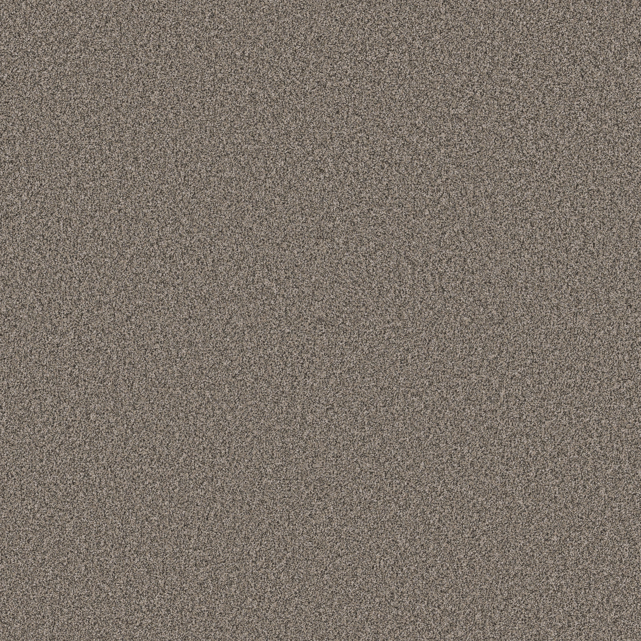 ARTISTIC FUSION II WARM LIGHT MAIN