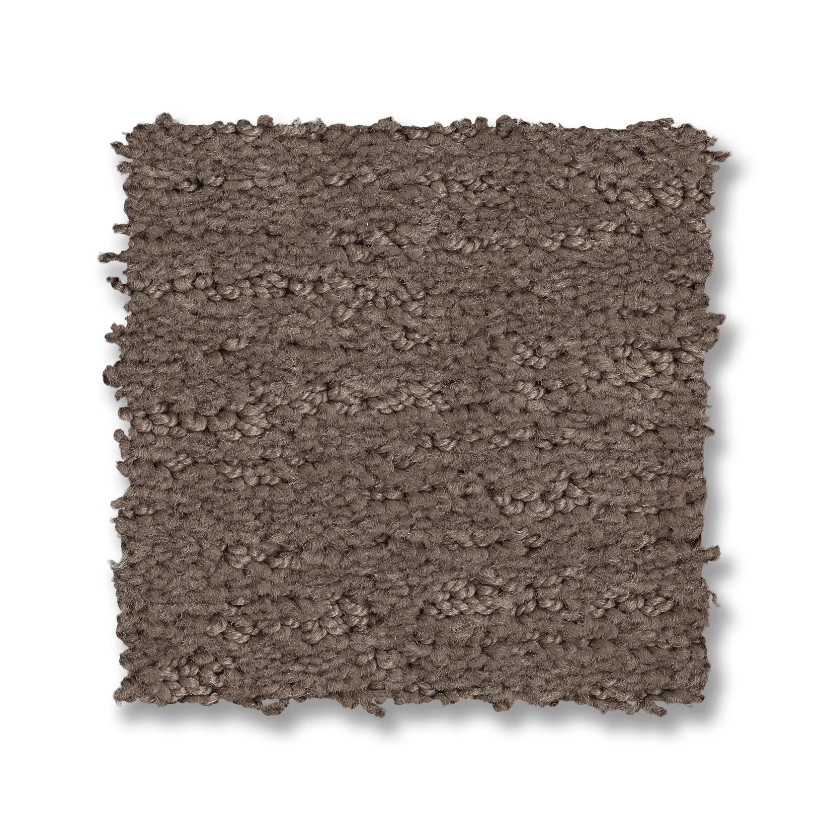 SKETCH CHANTRELLE SWATCH