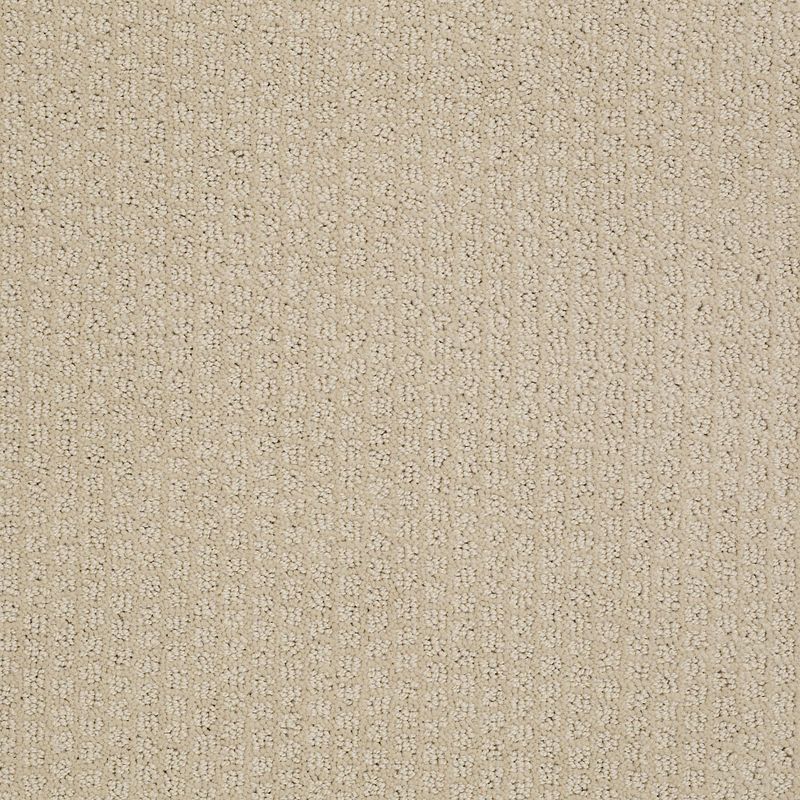 Pacific Trails E0824 broadloom carpet in Canvas color, 12ft wide, made from 100% nylon material