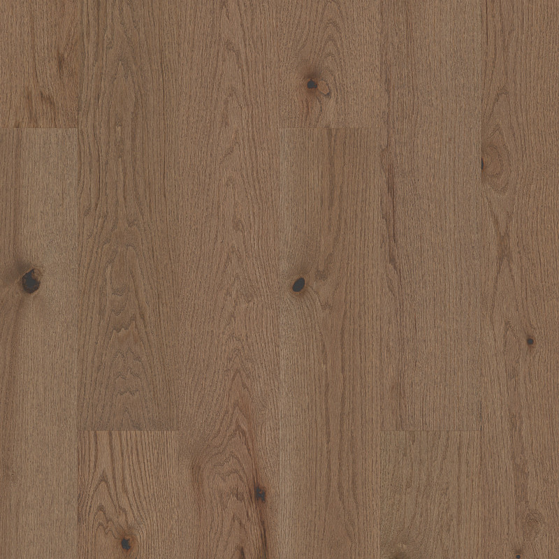 EXPLORATION WEST in Canyon by Shaw Floors