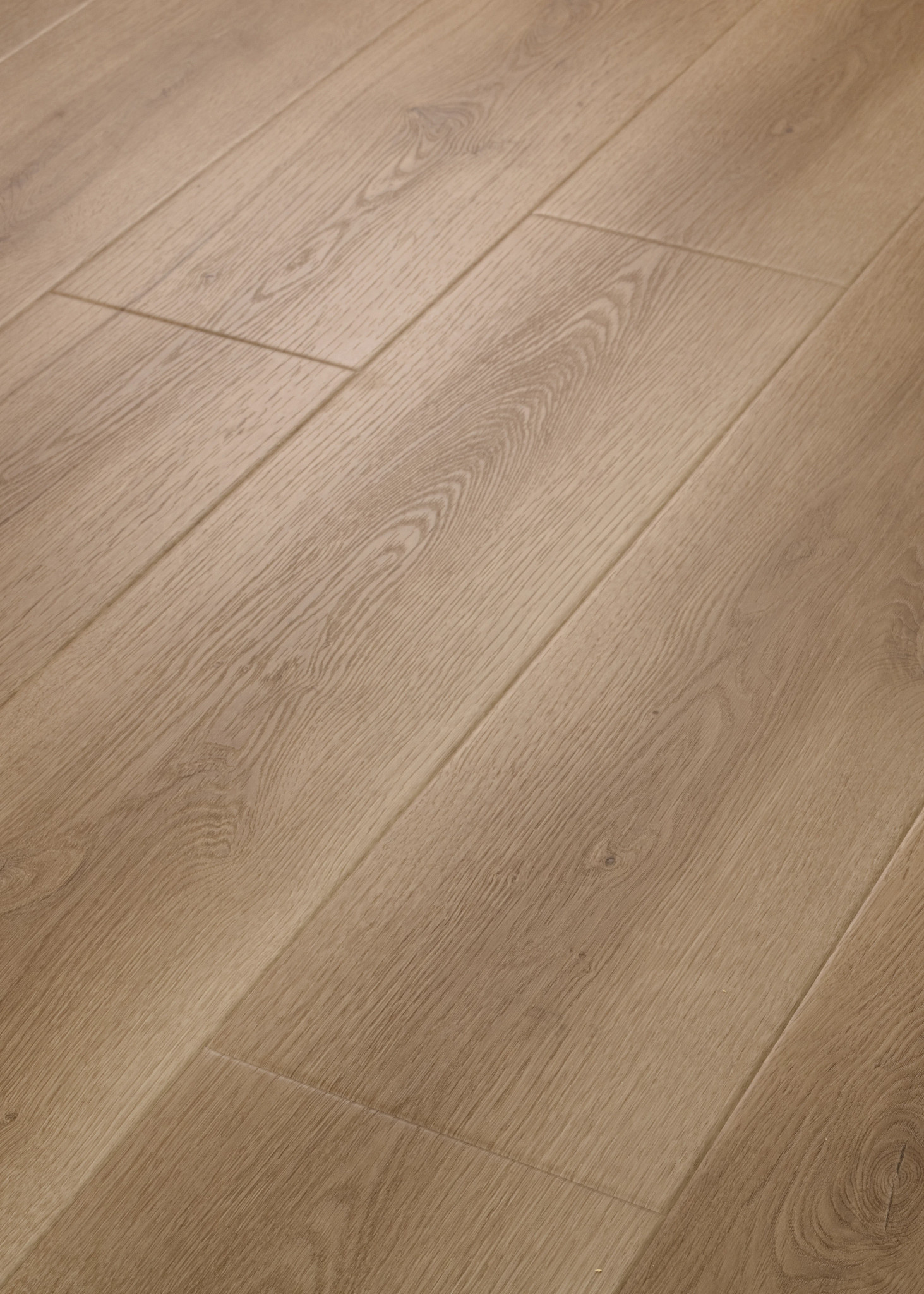 Endura Plus - in Wild Dunes | Shaw Floors
