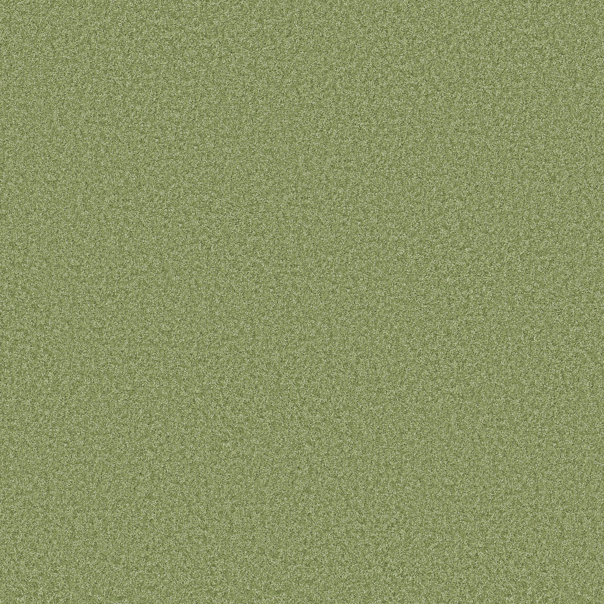 COLOR ME HAPPY FOUR LEAF CLOVER MAIN