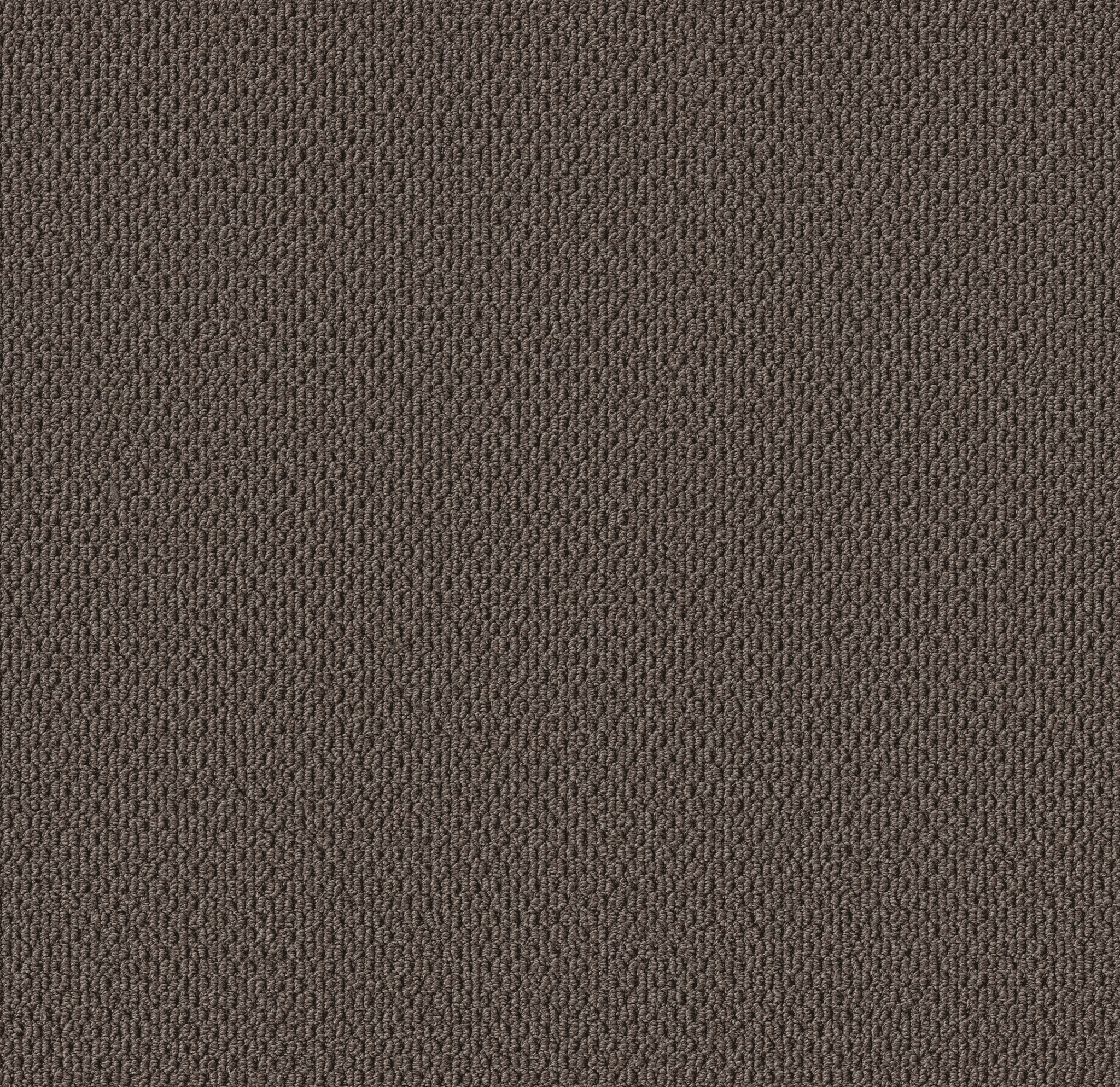 PERSPECTIVE PATH BLACK WALNUT MAIN