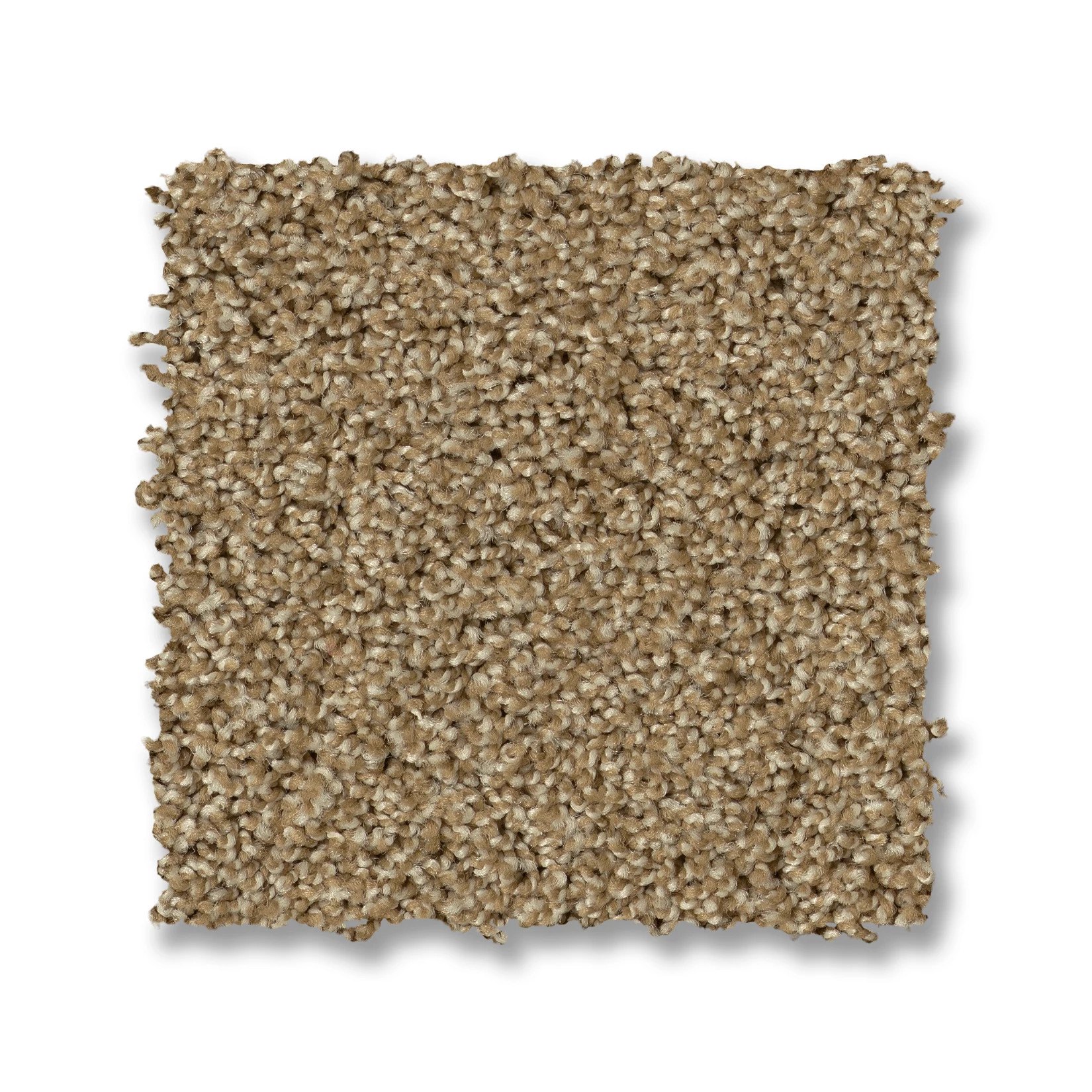 ACADIA PARK CARAMELO SWATCH