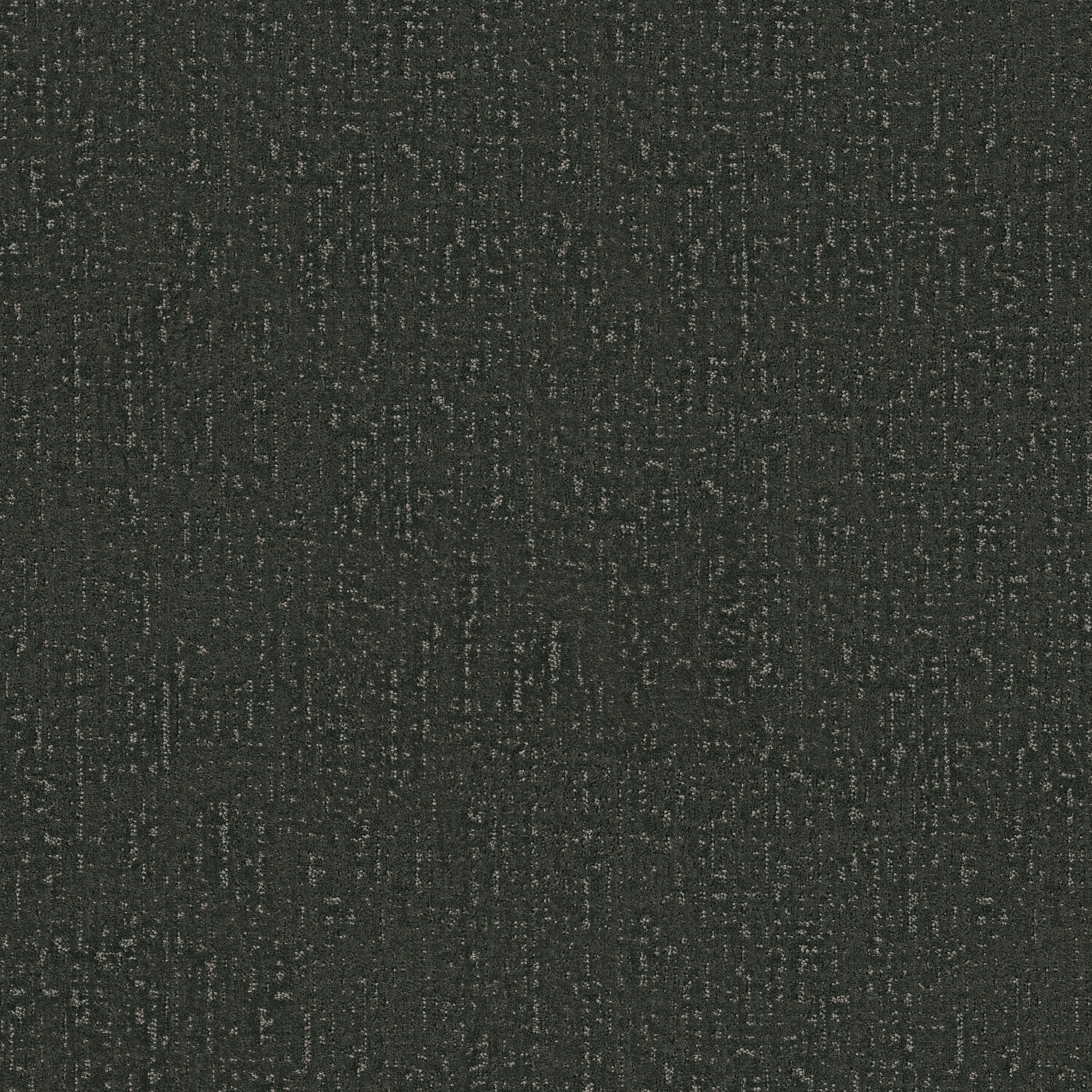 CURATED TONE EVERGREEN MAIN