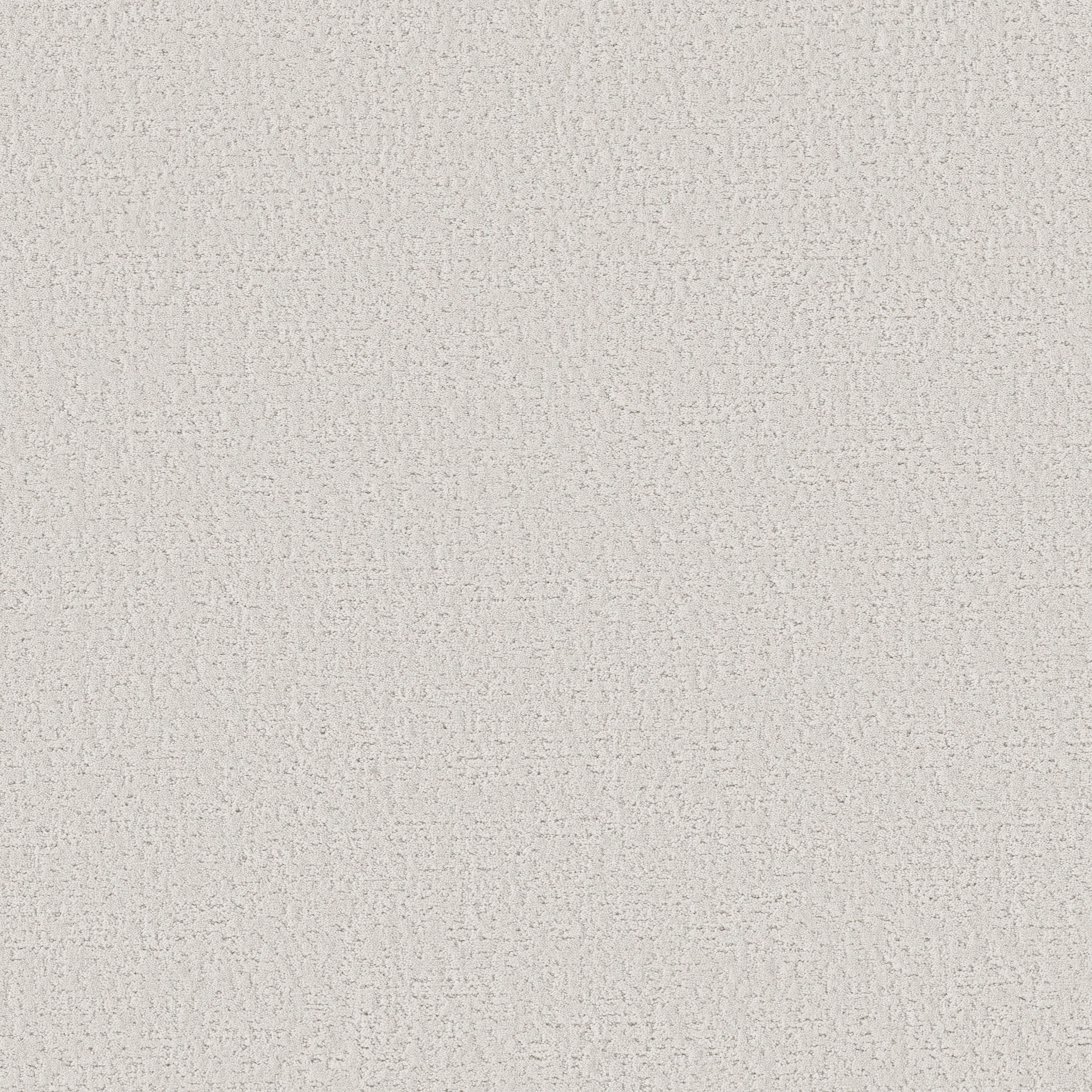 CANVAS COMFORT BLUE GALLERY OPENING MAIN