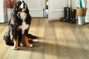 Shaw Hardwood, Floorte Exquisite Worthington