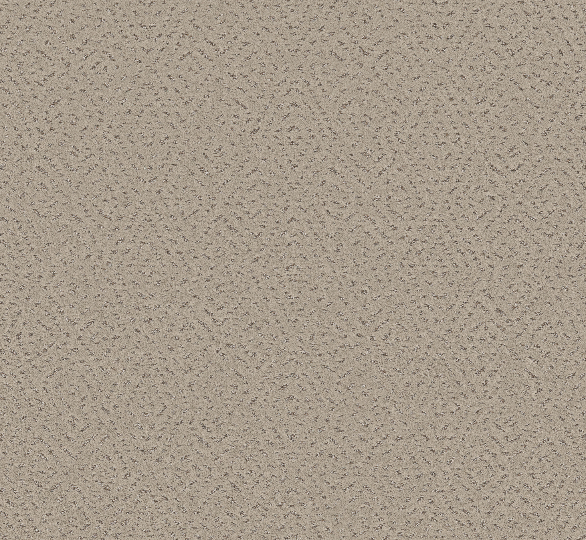 ELABORATE ARTIFACT CHIC GREIGE MAIN